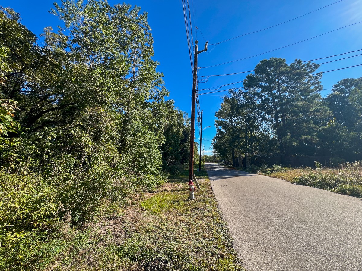1 Peach Street, Conroe, TX 77301