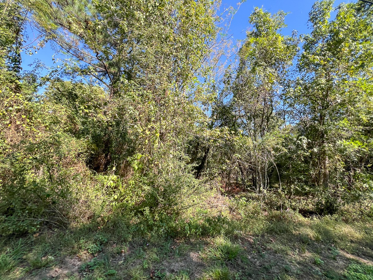 1 Peach Street, Conroe, TX 77301