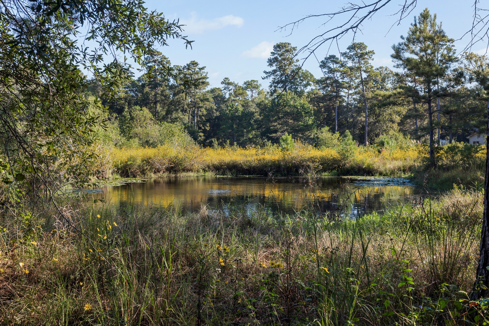 13060 Fm 1485 Road, Conroe, TX 77306