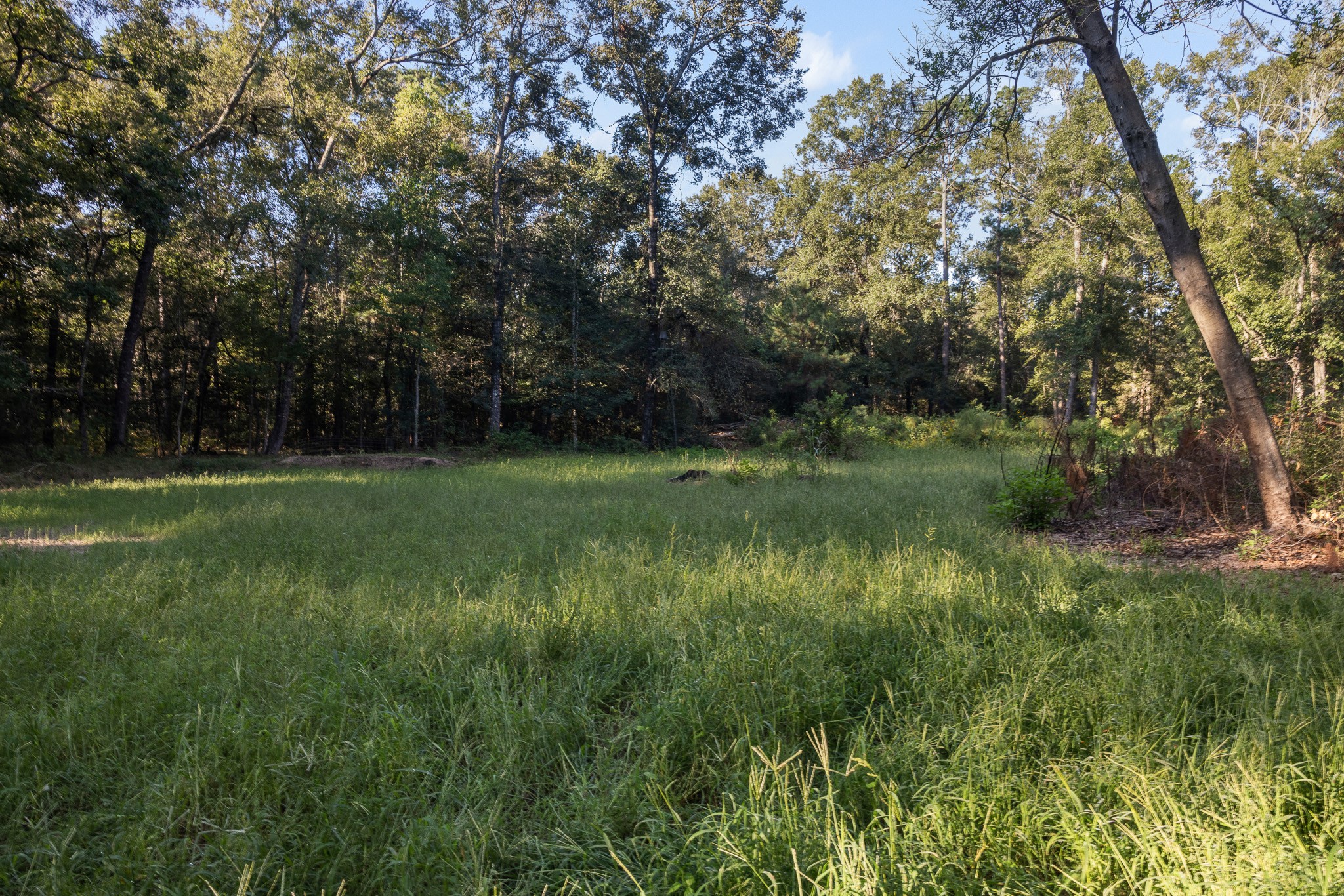 13060 Fm 1485 Road, Conroe, TX 77306