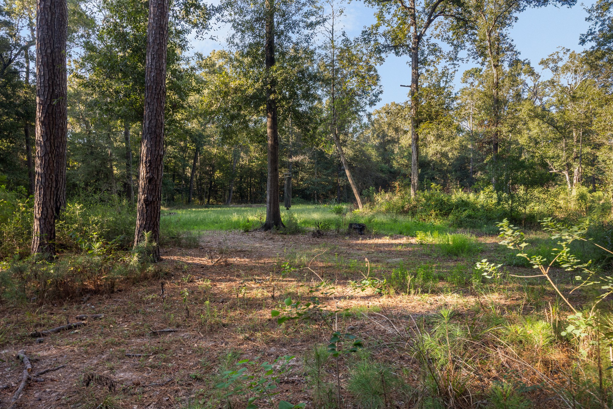 13060 Fm 1485 Road, Conroe, TX 77306