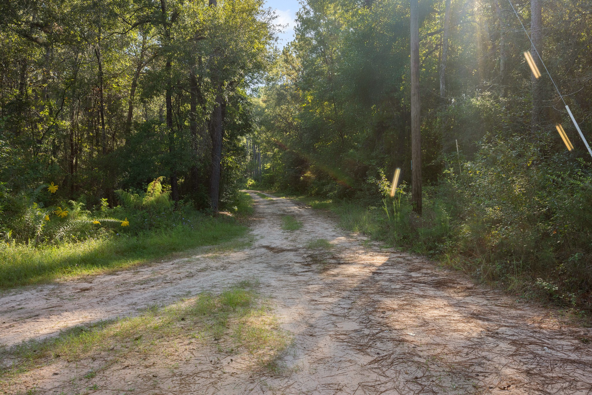 13060 Fm 1485 Road, Conroe, TX 77306