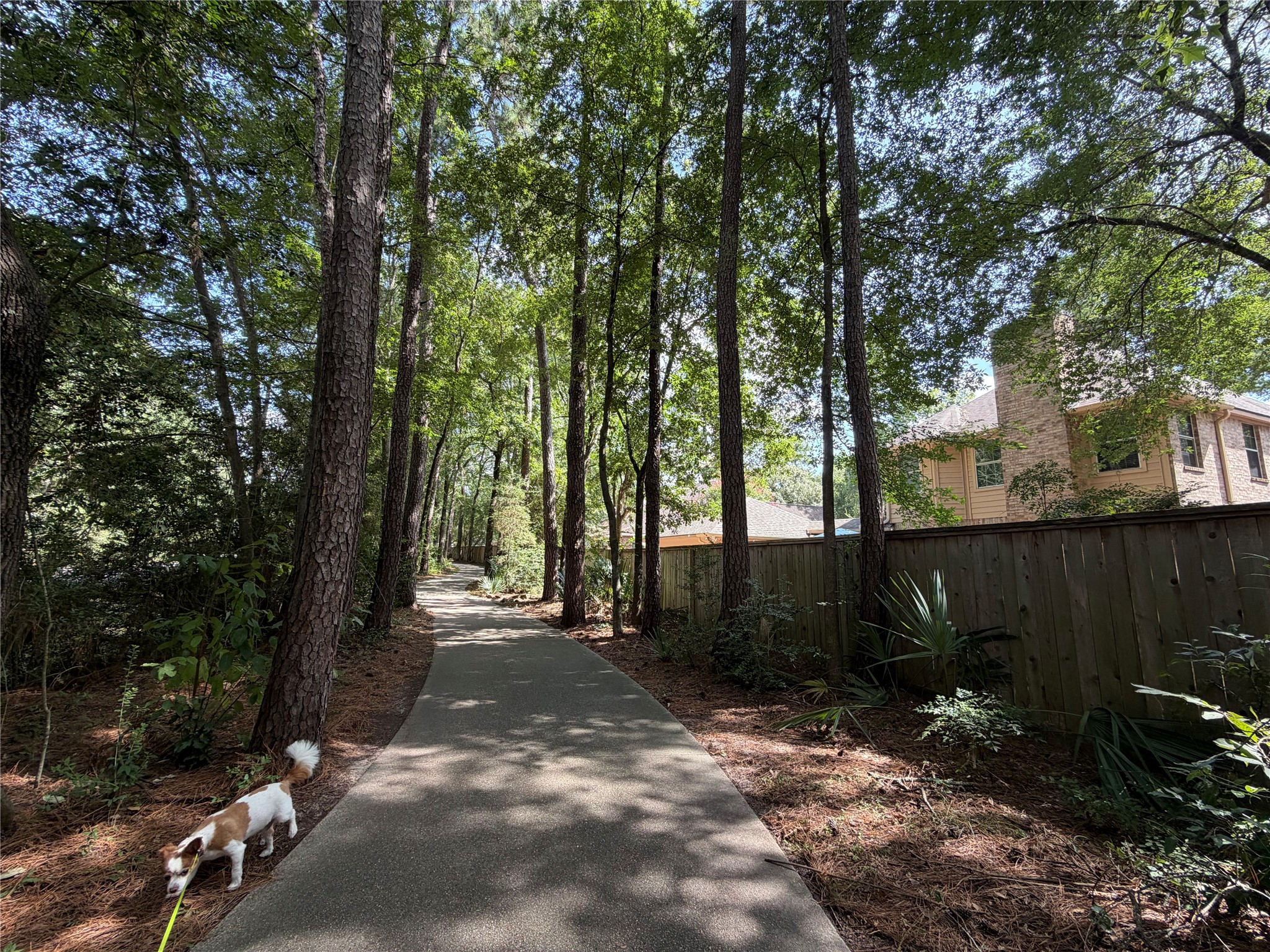 A serene wooded pathway offers a peaceful retreat, th backyard opens directly onto a walking trail.