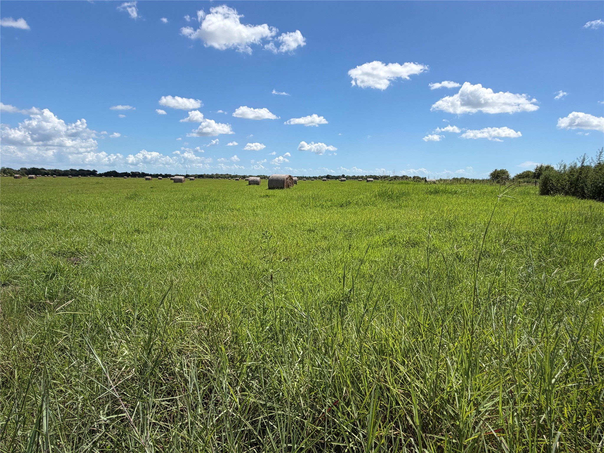 0 County Road 170, Alvin, TX 77511