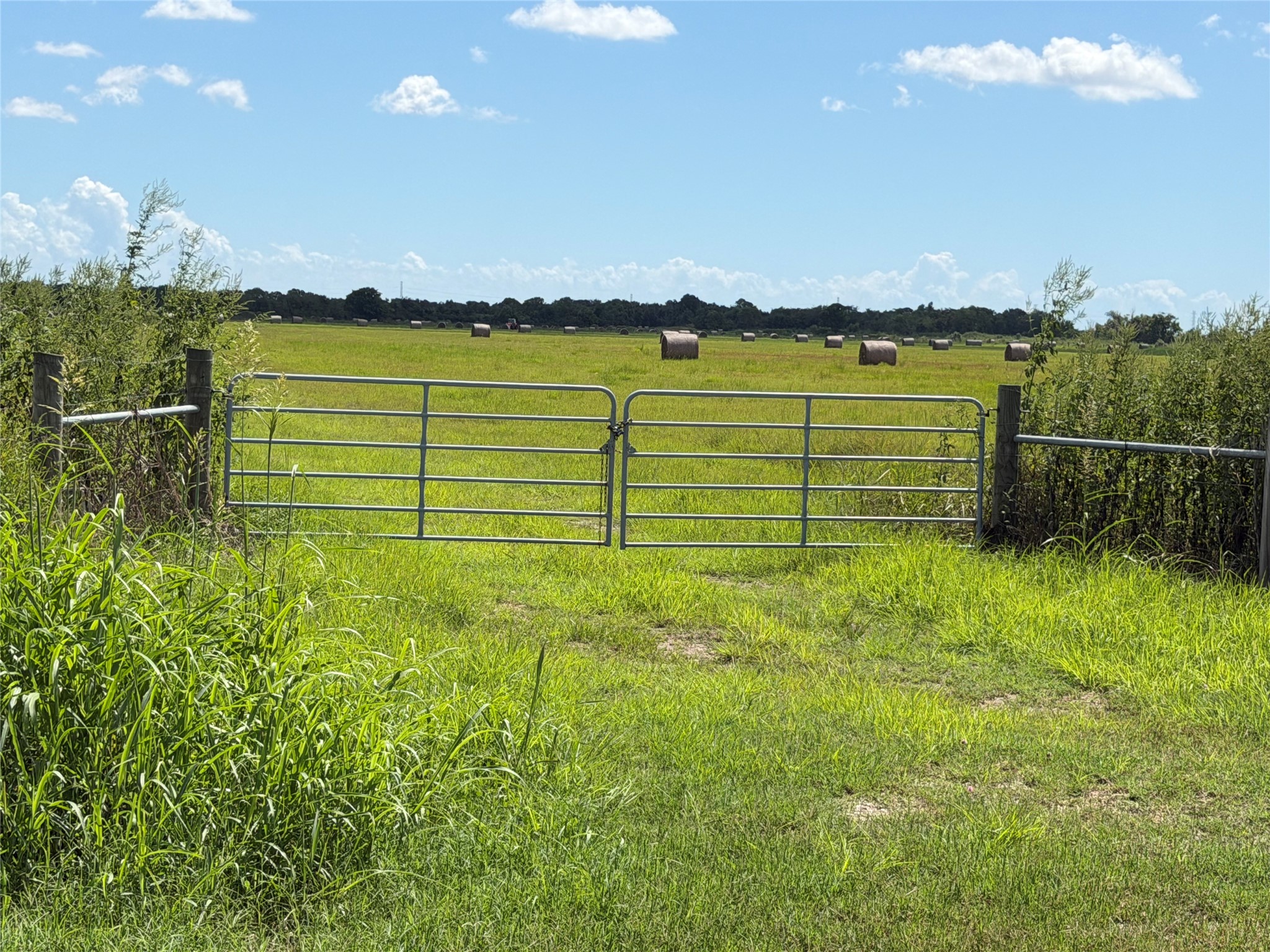 0 County Road 170, Alvin, TX 77511 0 County Road 170, Alvin, TX 77511