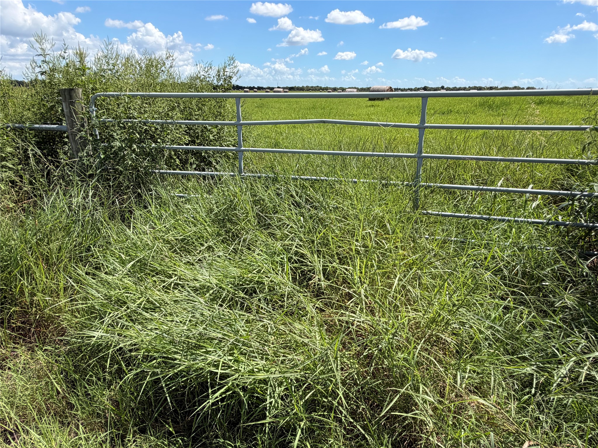 0 County Road 170, Alvin, TX 77511