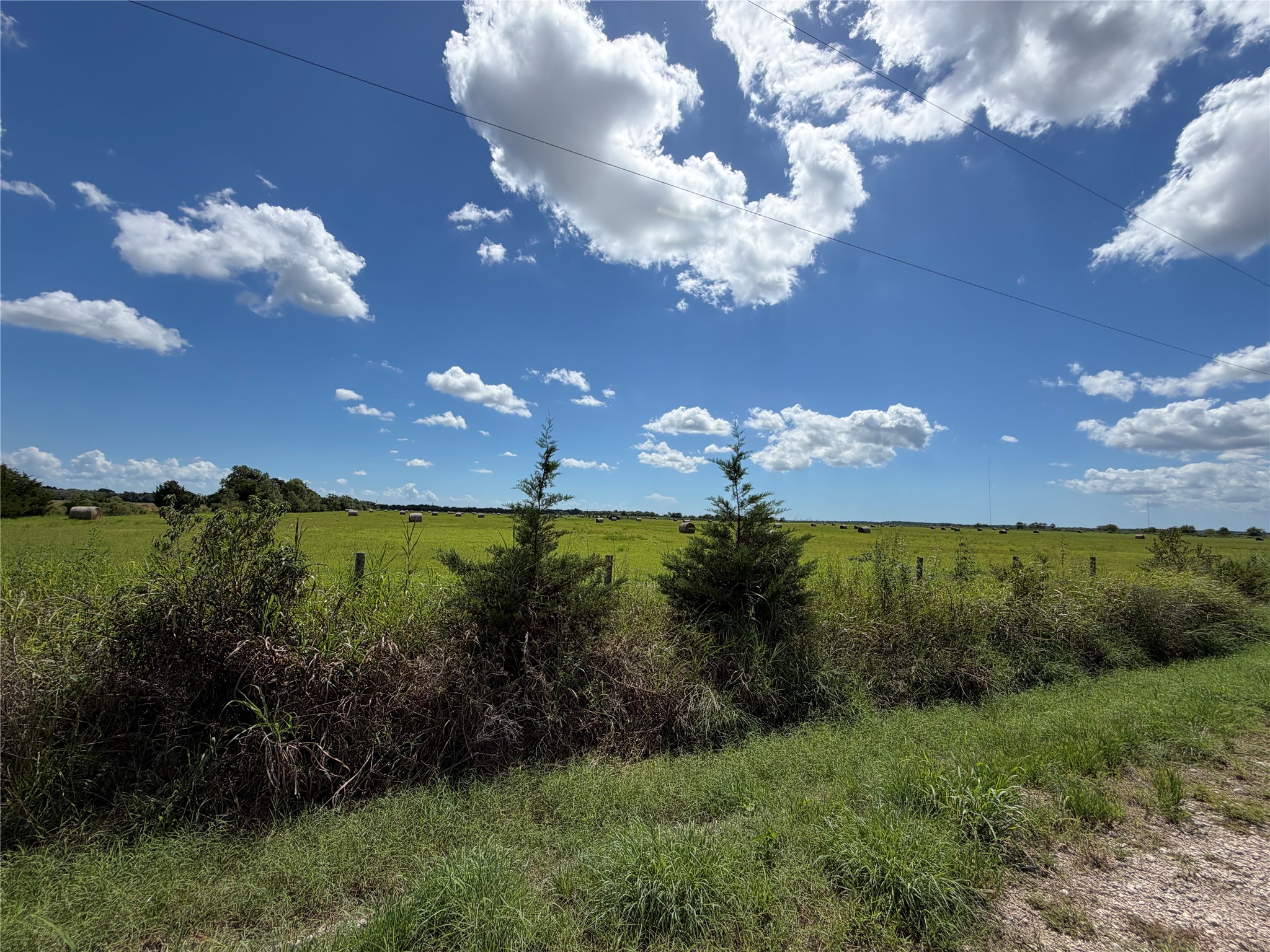 0 County Road 170, Alvin, TX 77511