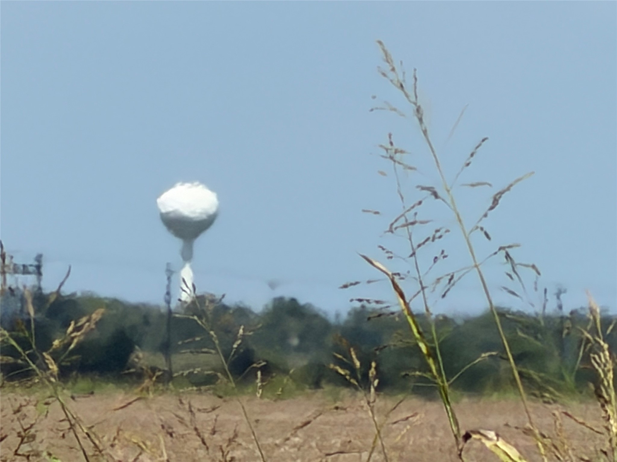 0 County Road 170, Alvin, TX 77511