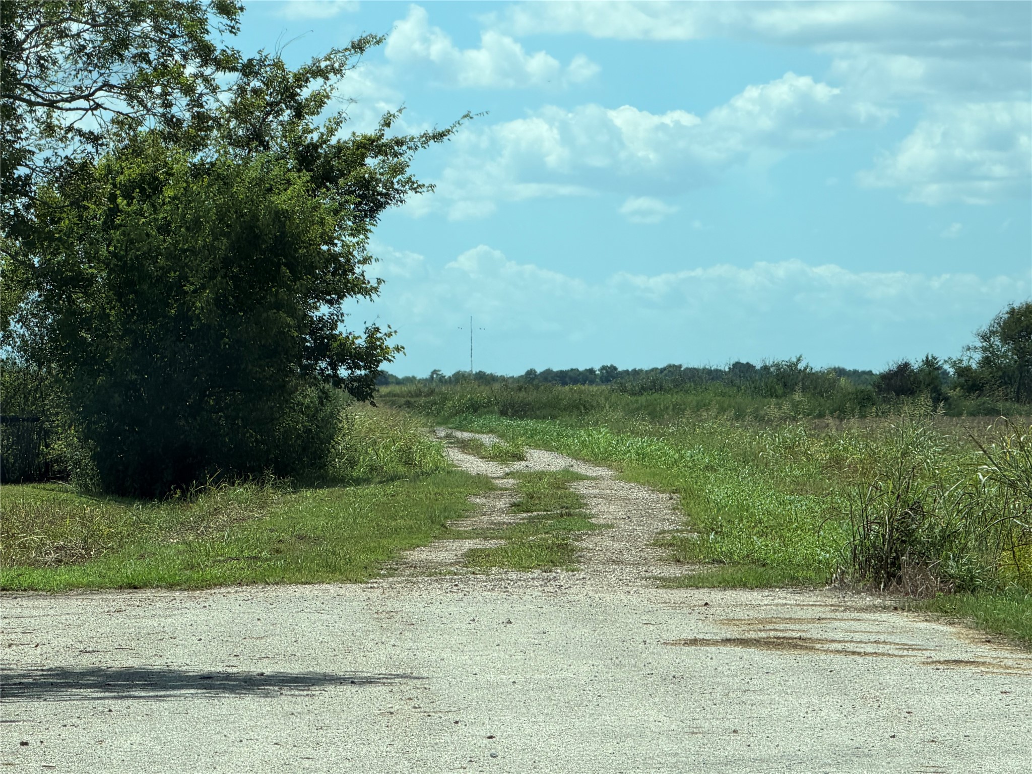 0 County Road 170, Alvin, TX 77511