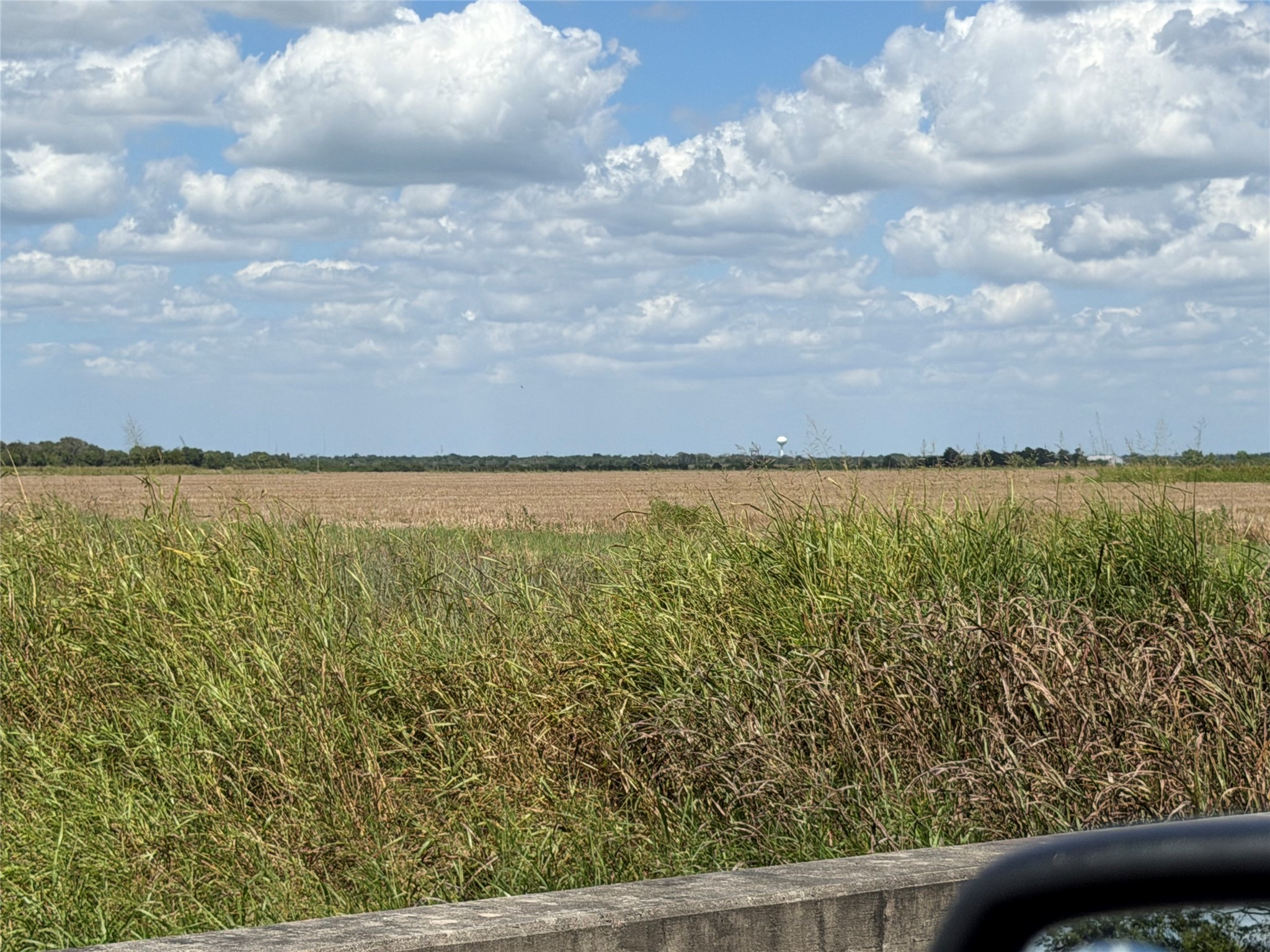 0 County Road 170, Alvin, TX 77511