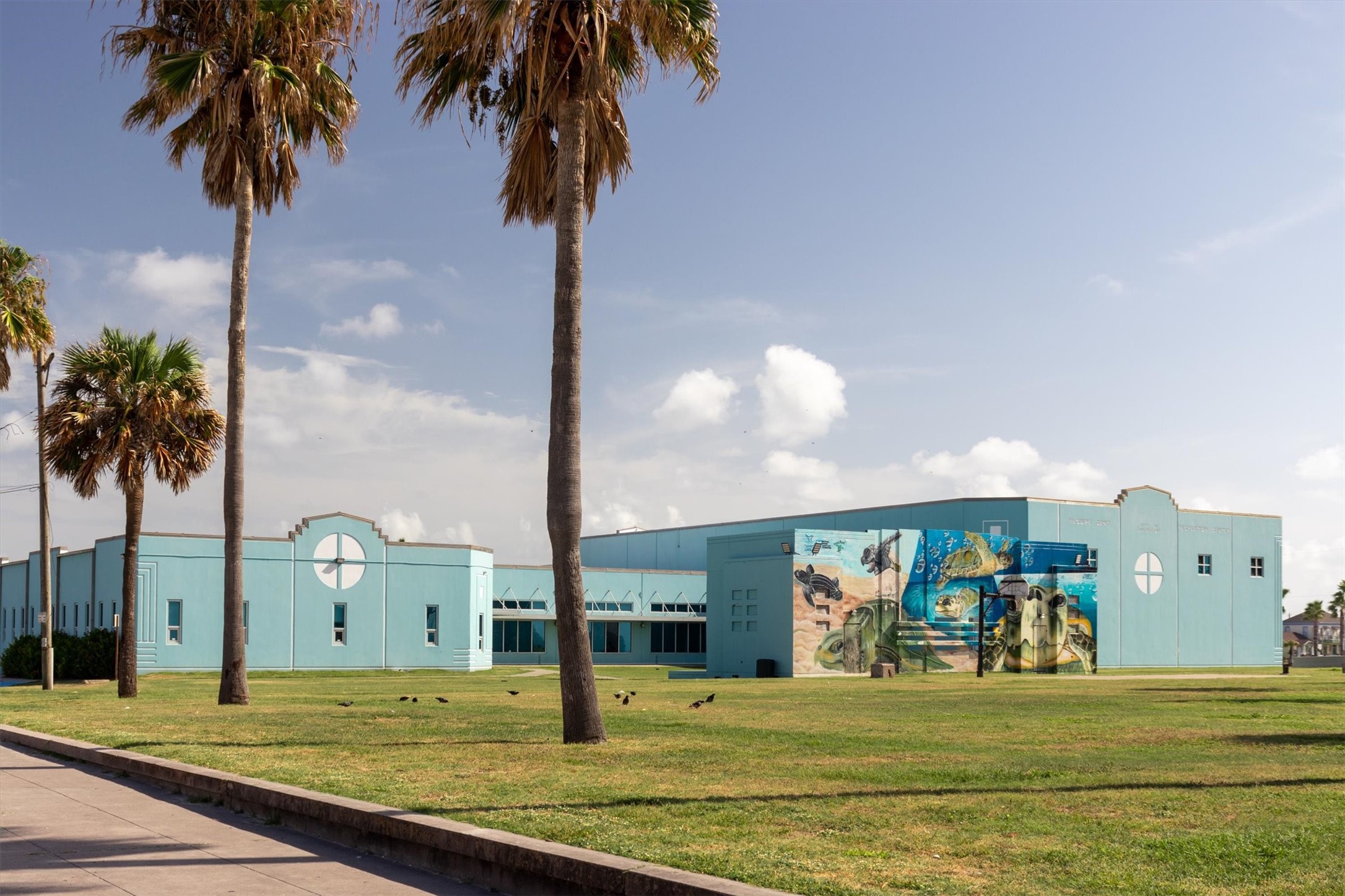 9520 Seawall Boulevard, #319, Galveston, TX 77554