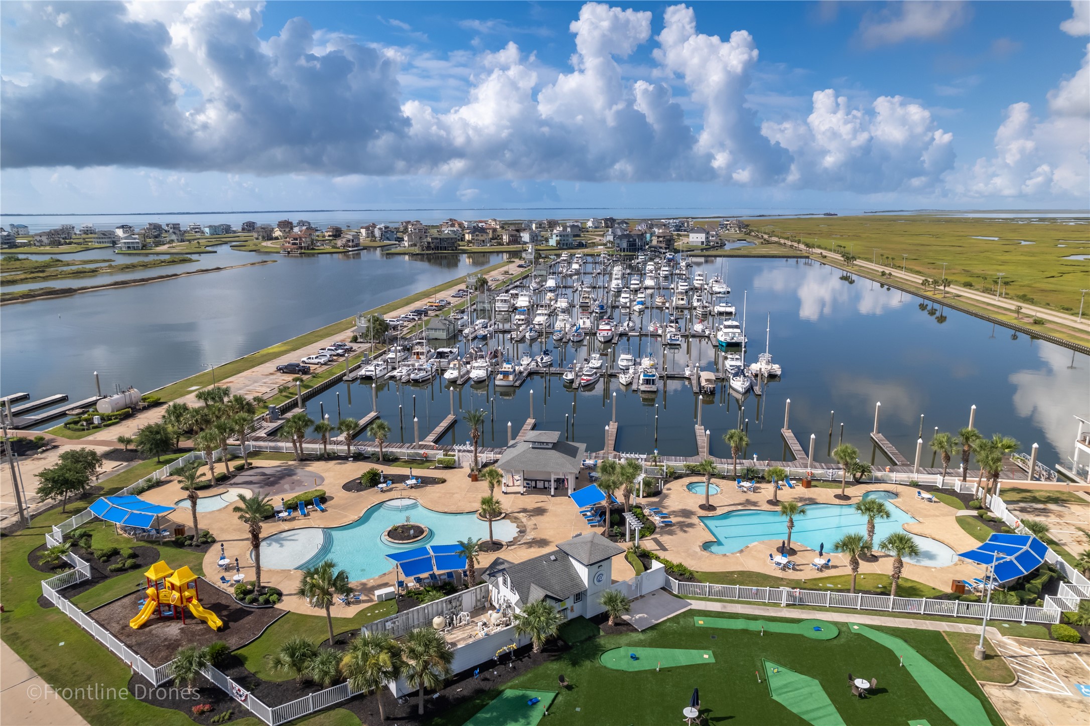 Swim Center & Flamingo Bar