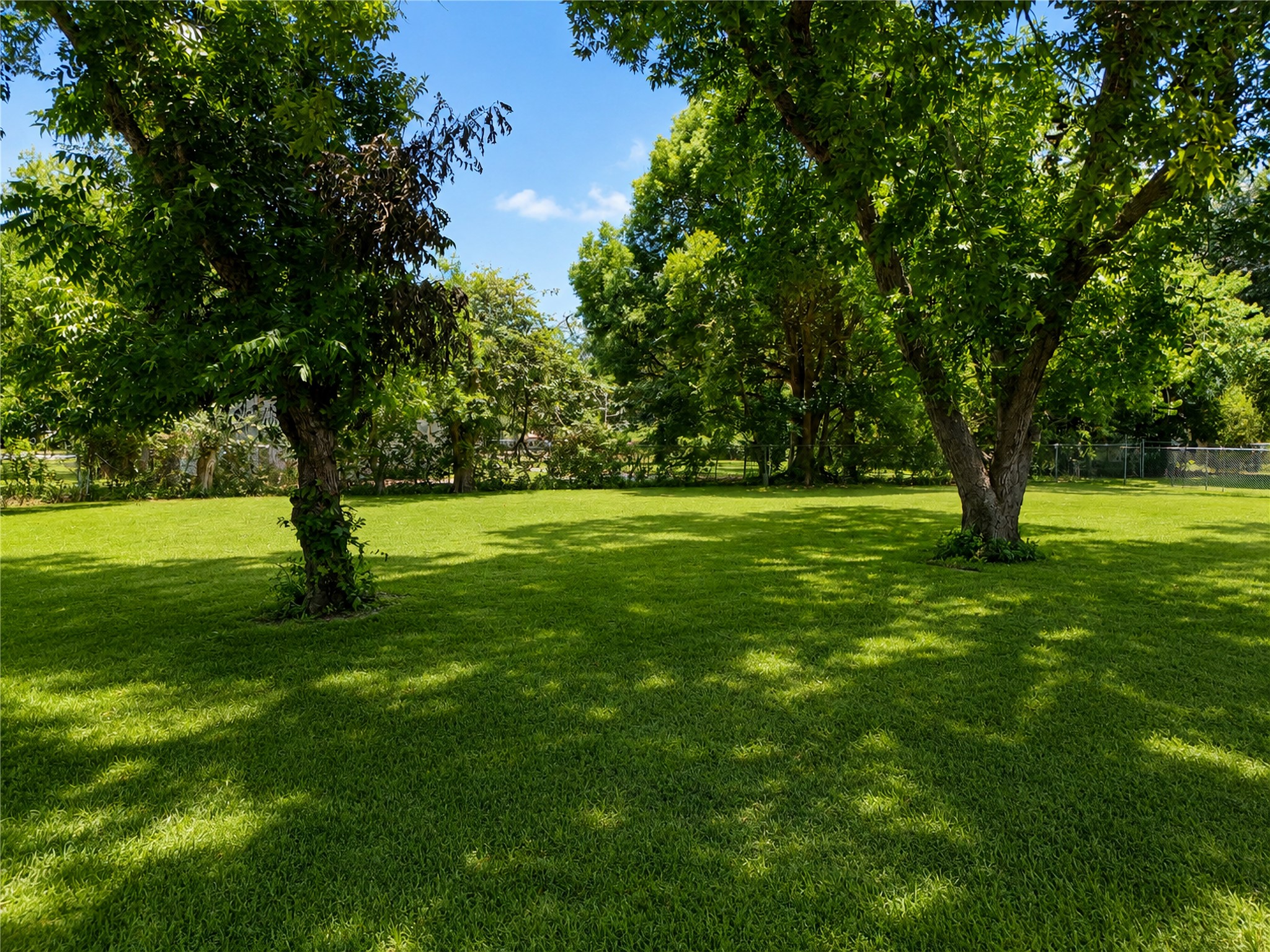 Look at this beautiful backyard!!