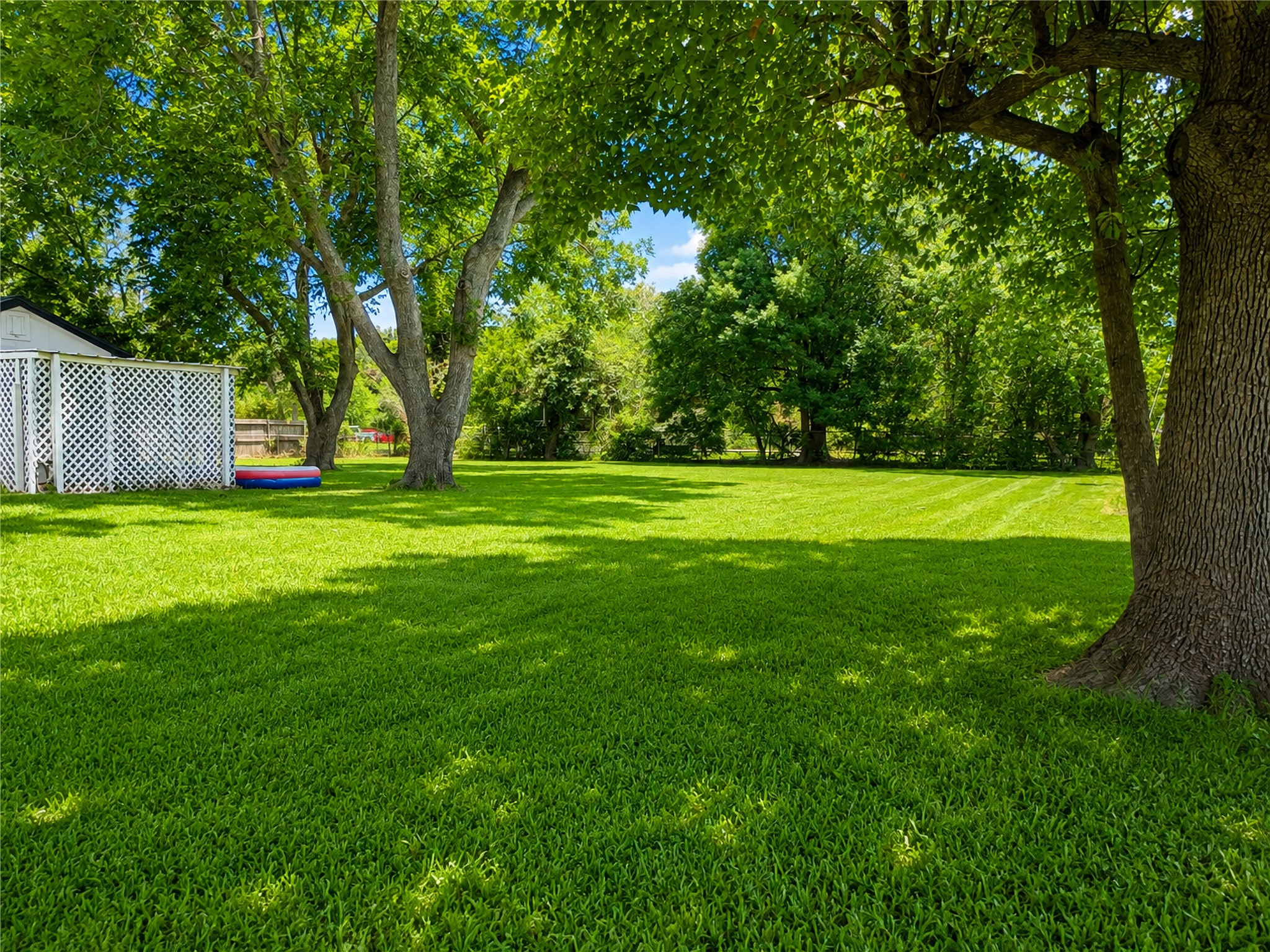 Backyard