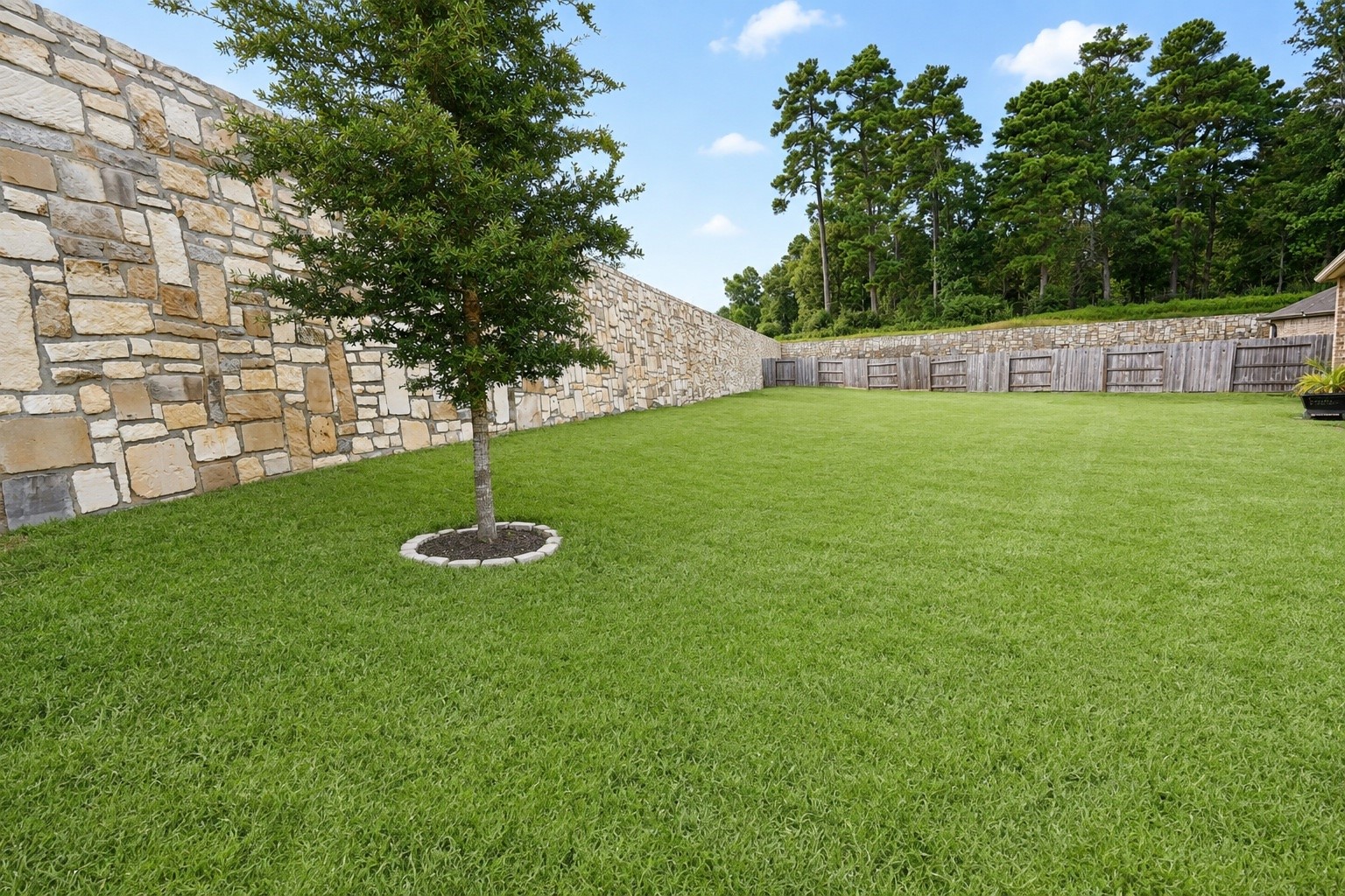 Expansive fenced backyard with lush green lawn, framed by a wooden and a stone wall, perfect for outdoor activities and privacy.