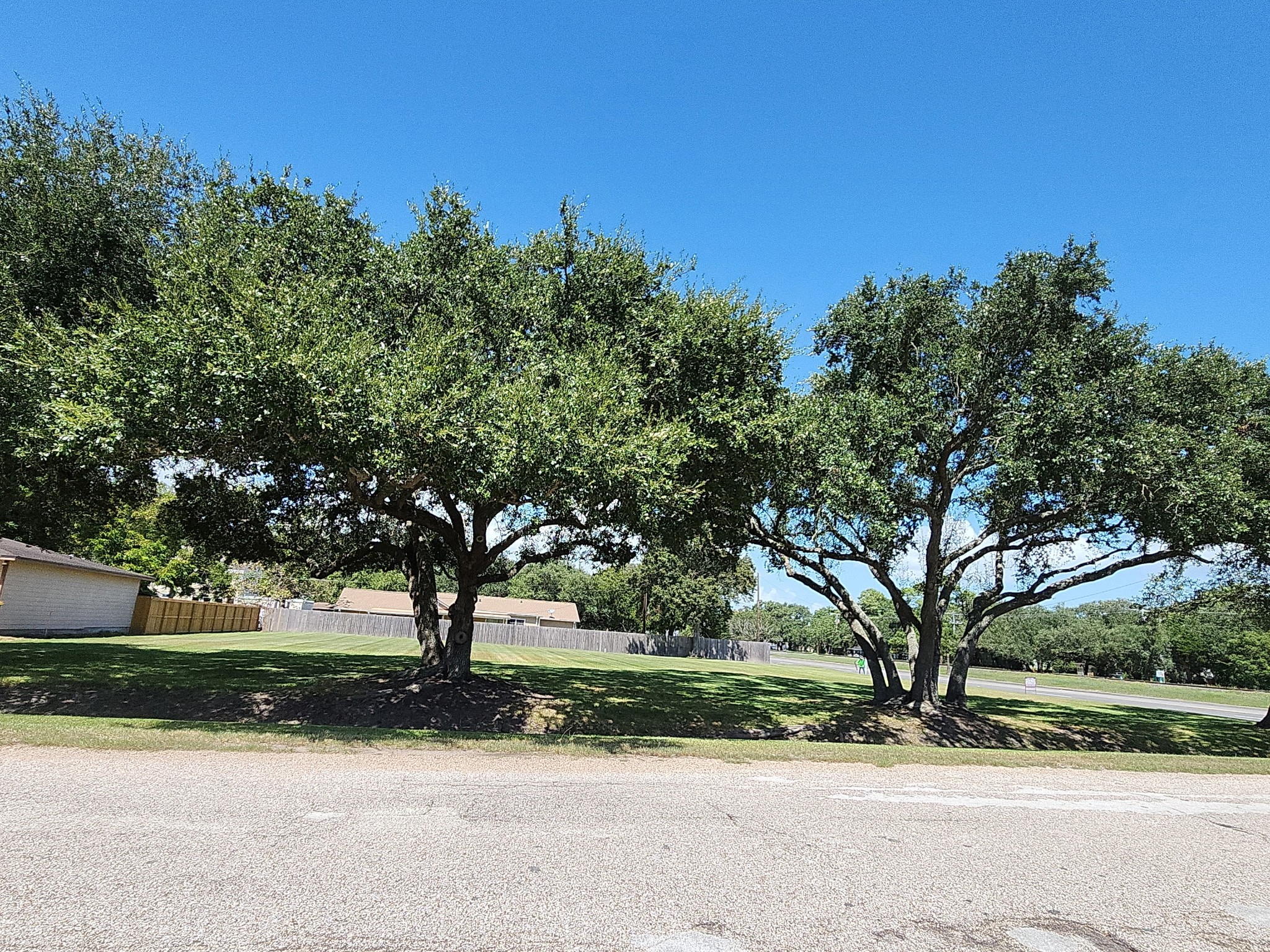 Corner view of lot showing beautiful established trees!