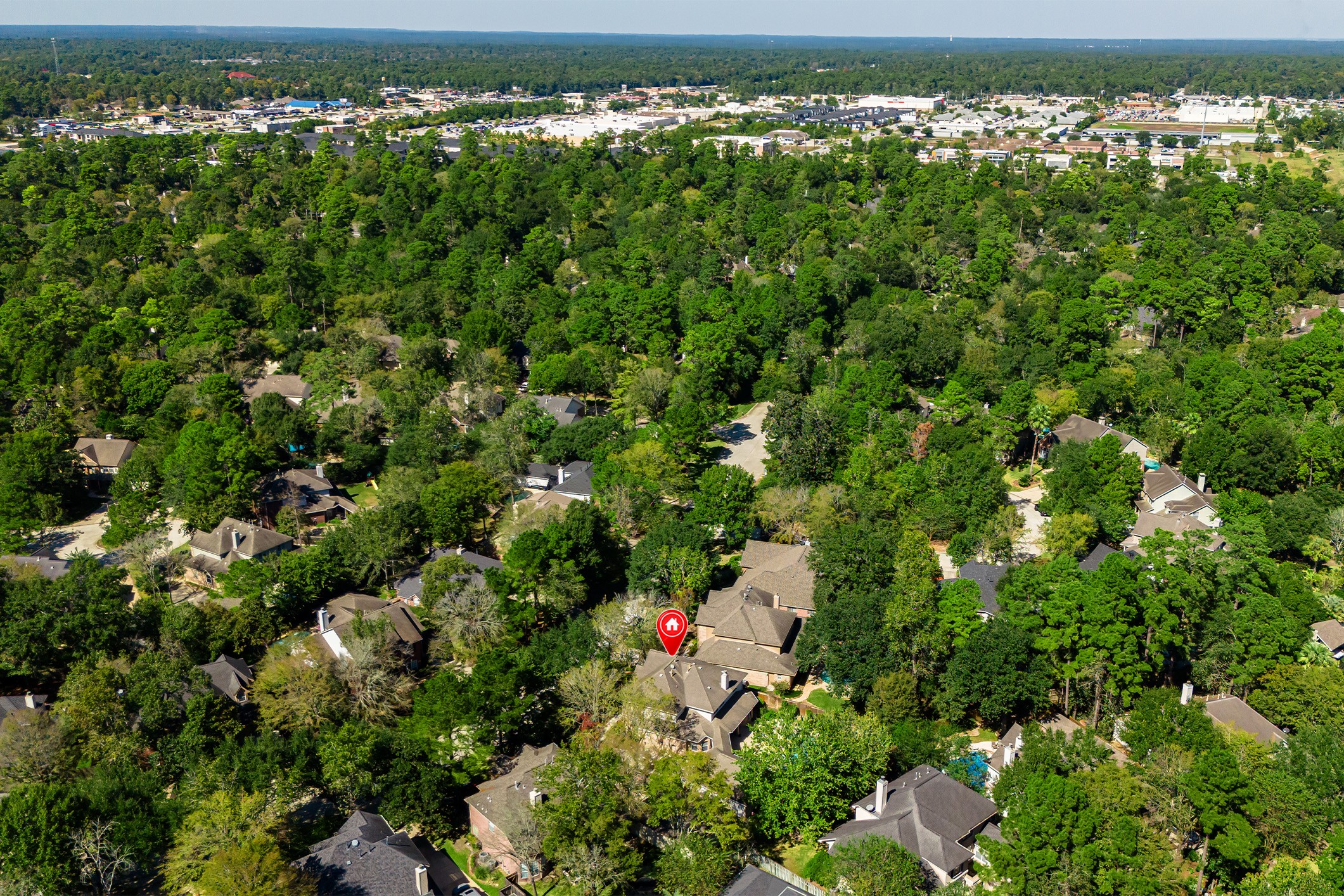 136 S Goldenvine Circle, The Woodlands, TX 77382