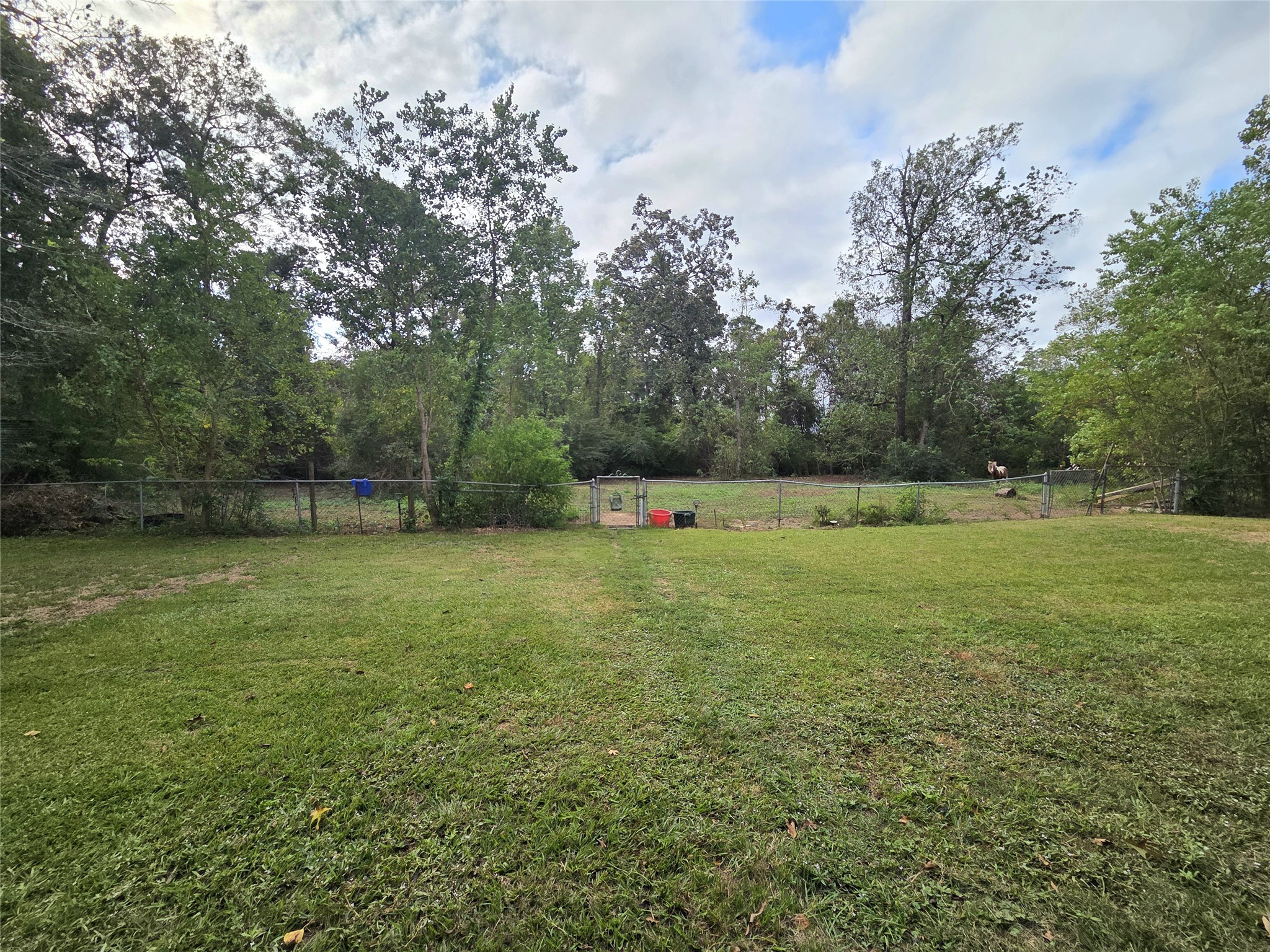 2940 Avenue M Extension, Conroe, TX 77301