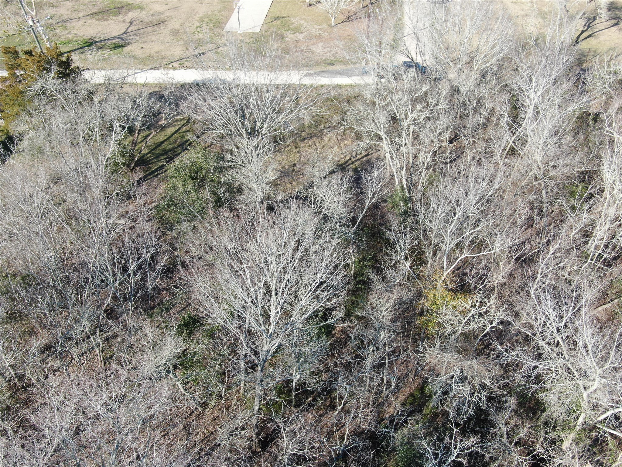 7603 Jordan Road, Hitchcock, TX 77563