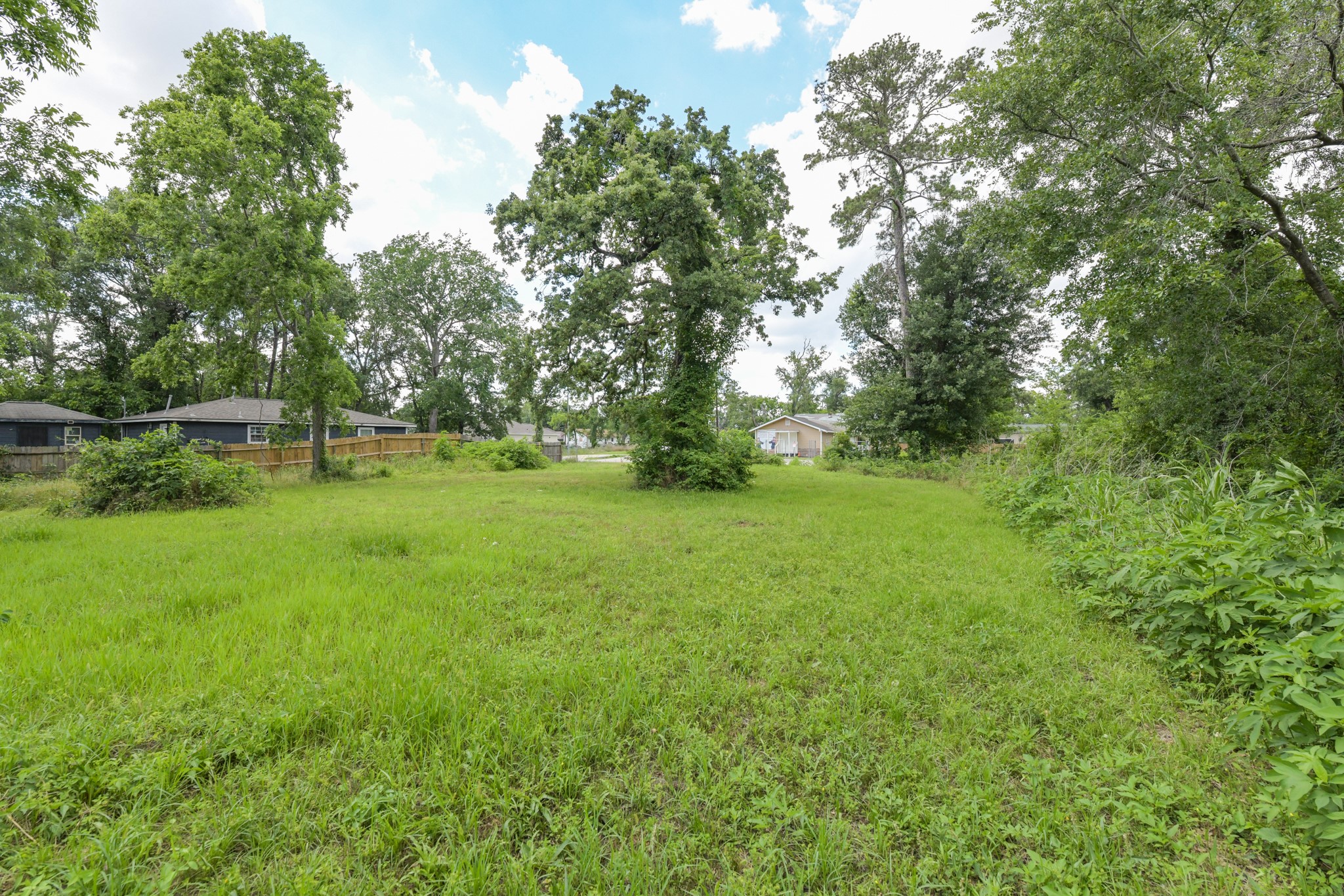 0 Cliffdale Street, Houston, TX 77091