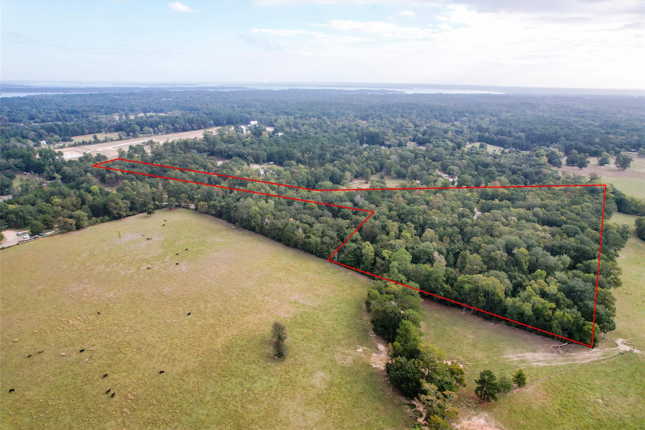 Room to grow, right outside Lake Conroe