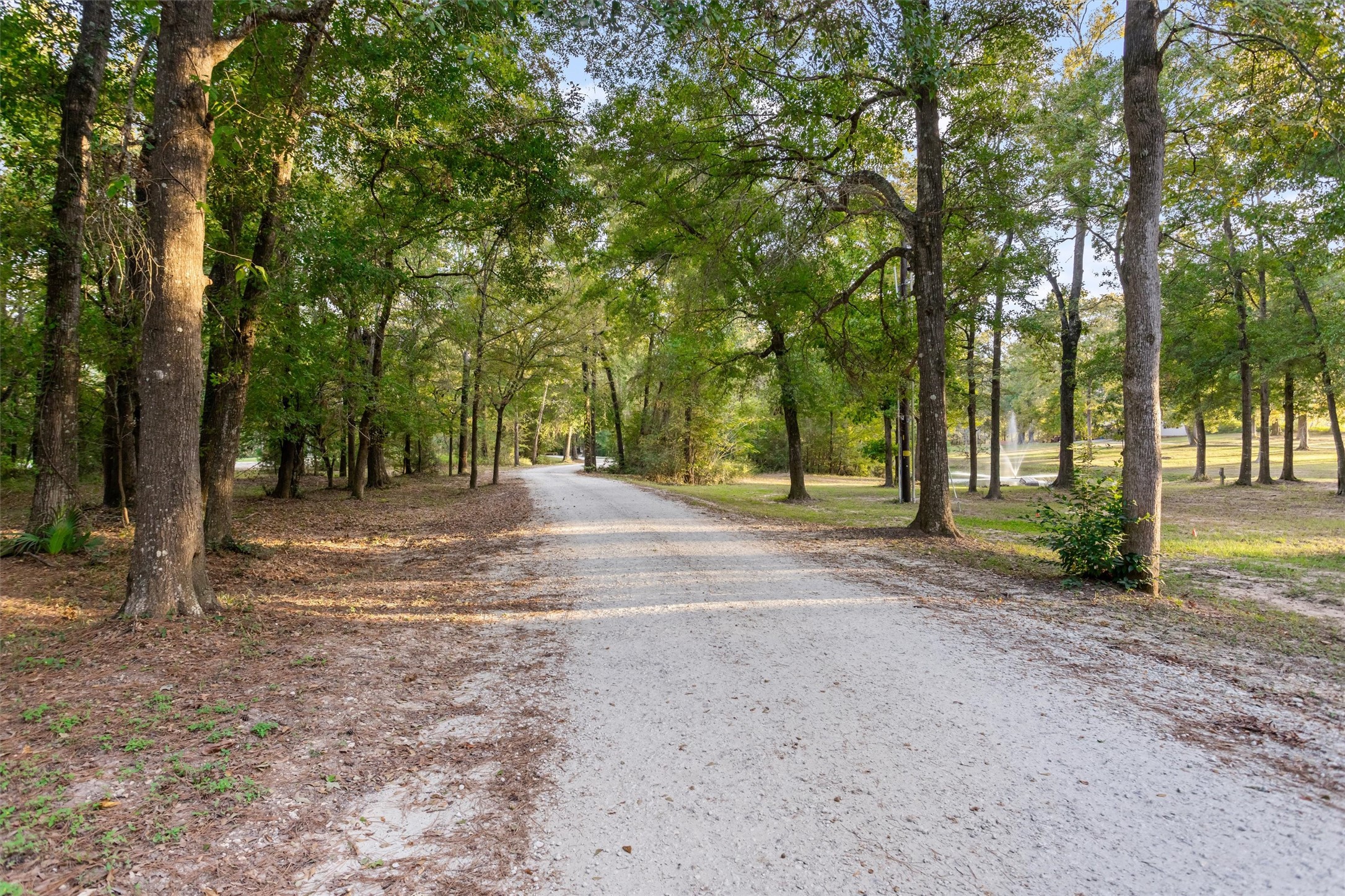 A tree-lined drive that feels like a getaway A tree-lined drive that feels like a getaway