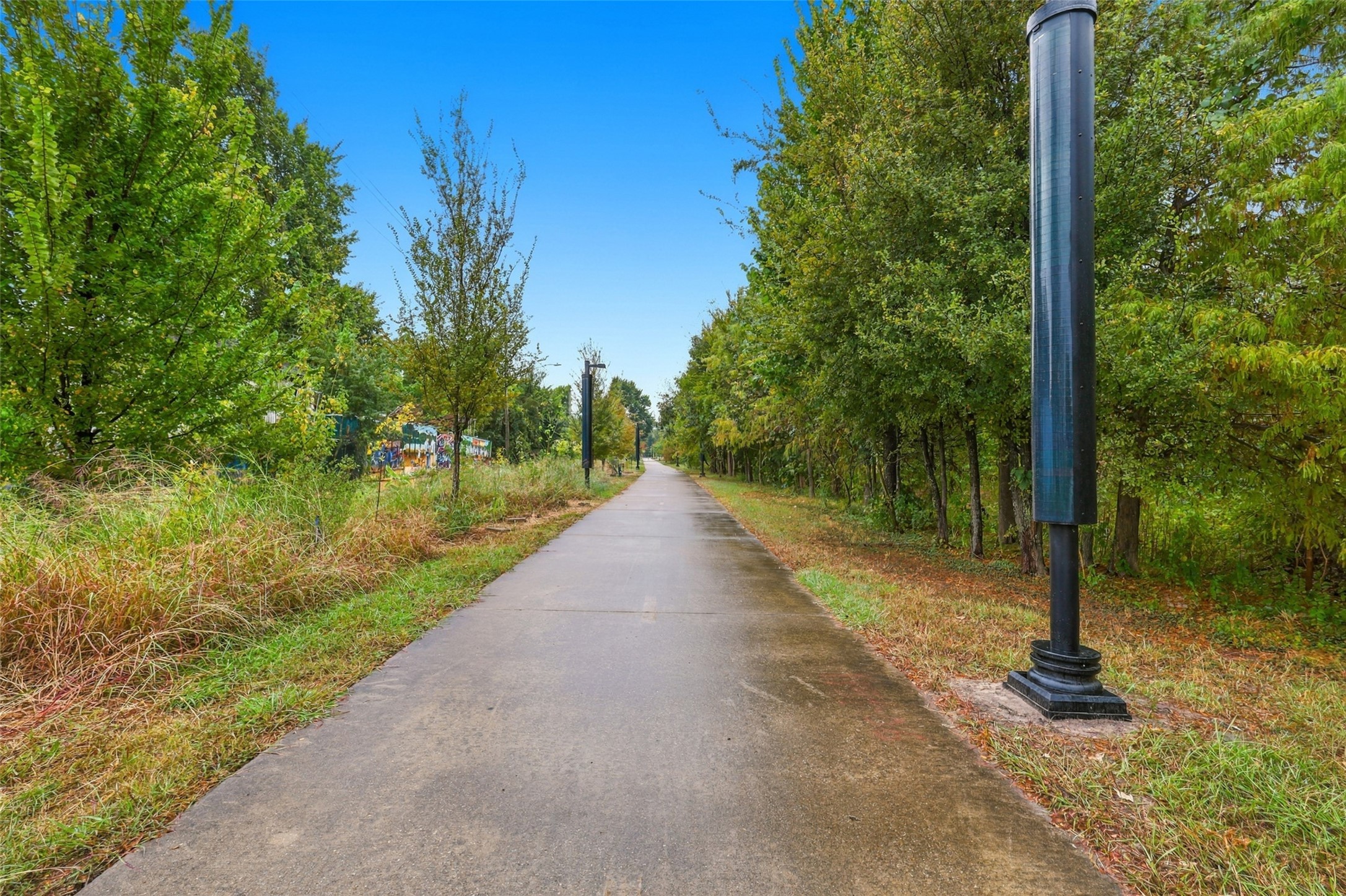 Beautifully landscaped walking trail- The Columbia Tap trail- lined with mature trees and modern streetlights, perfect for leisurely strolls and enjoying nature.