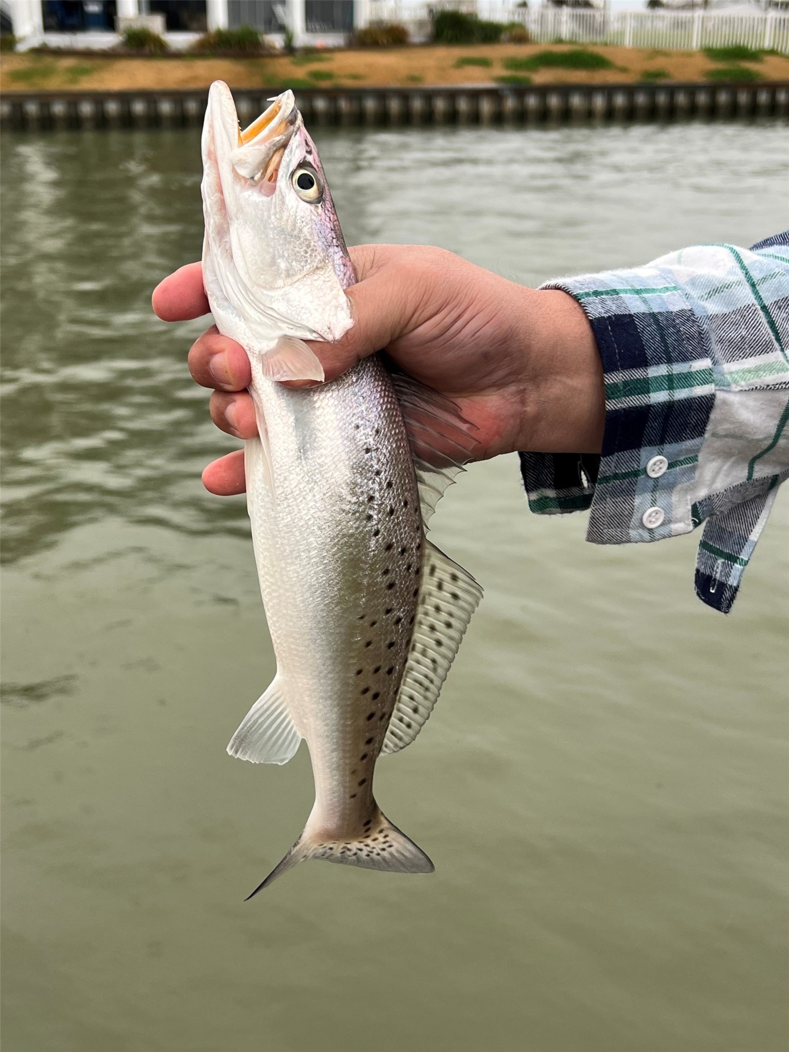 Great fishing from your own backyard