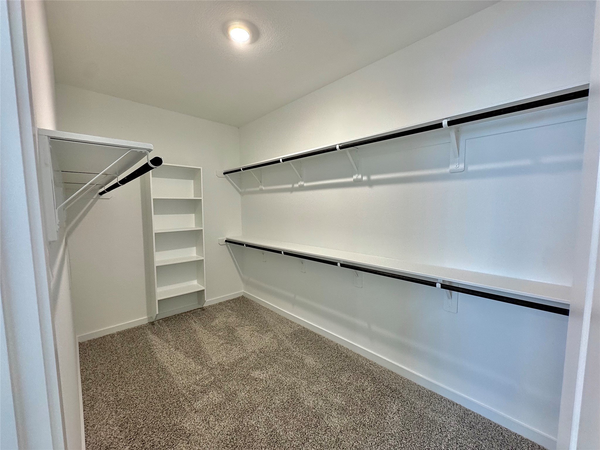 3315 Daily Harvest Drive, Pearland, TX 77581