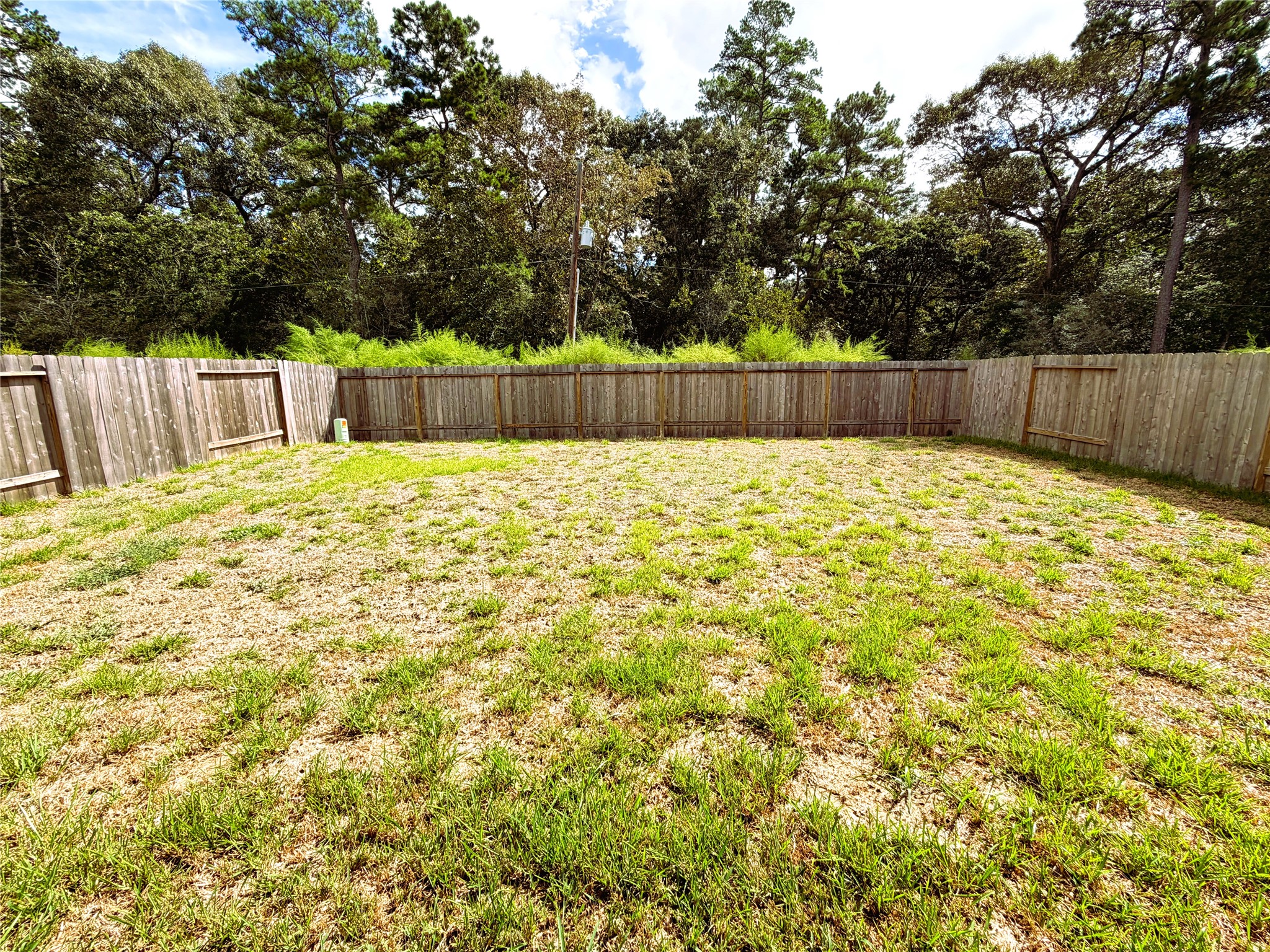 24855 Springbluff Valley Court, Magnolia, TX 77355