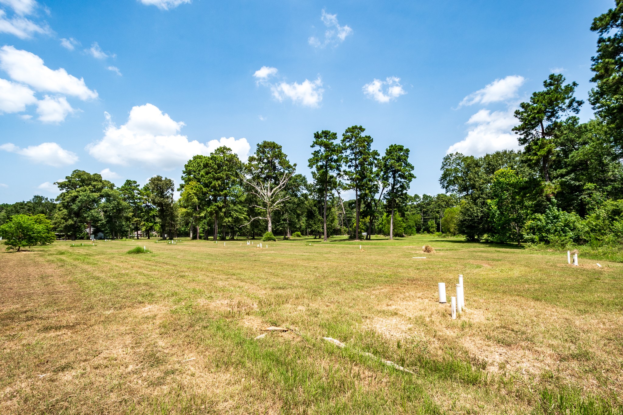 Open land with mature trees, perfect for building multiple homes amidst nature's tranquility.