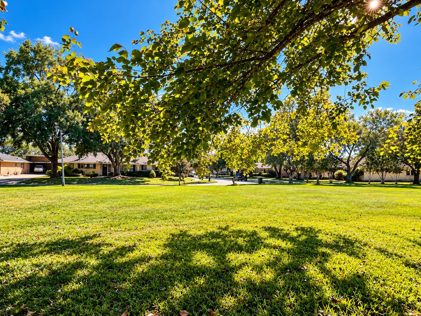 Open green space offers possibilities for your future home! Open green space offers possibilities for your future home!