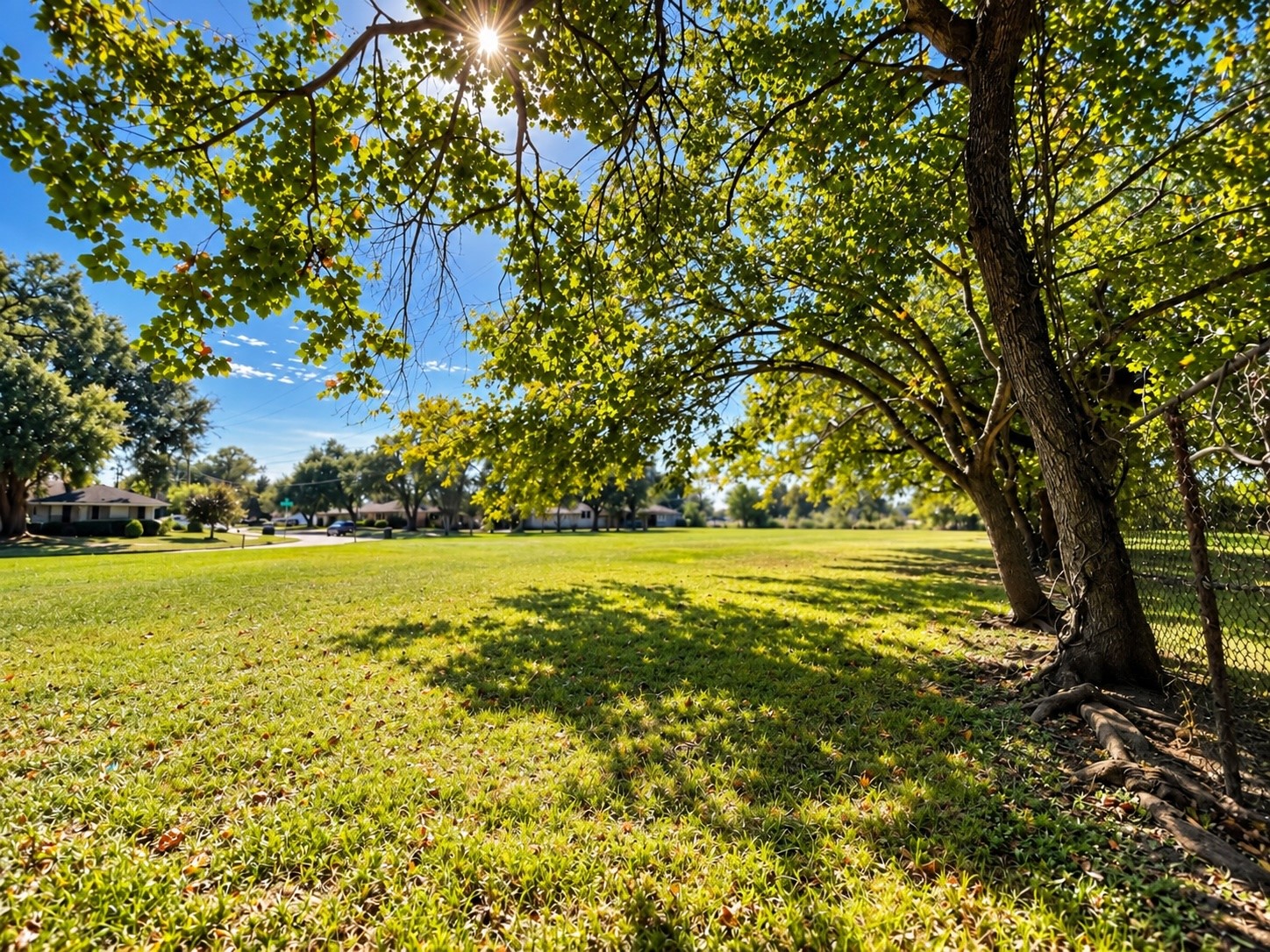 Imagine building your dream home on this spacious residential lot! intersection of Anacortes St / Ruthby St.