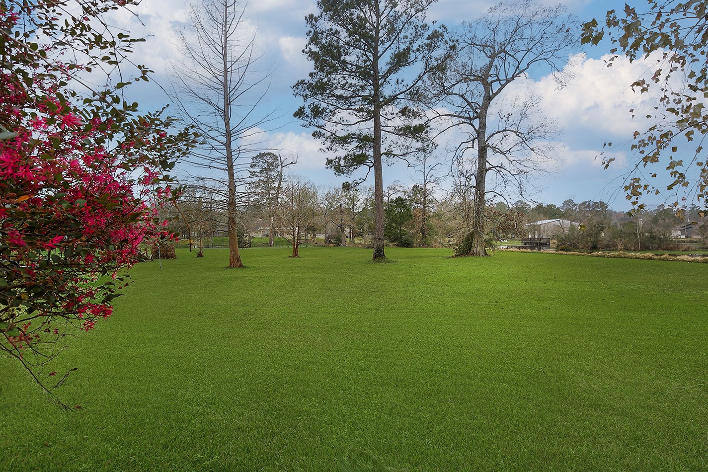 11827 Water Oak Drive, Magnolia, TX 77354