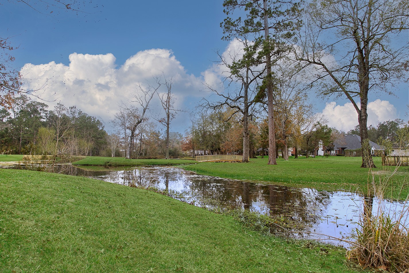 11827 Water Oak Drive, Magnolia, TX 77354