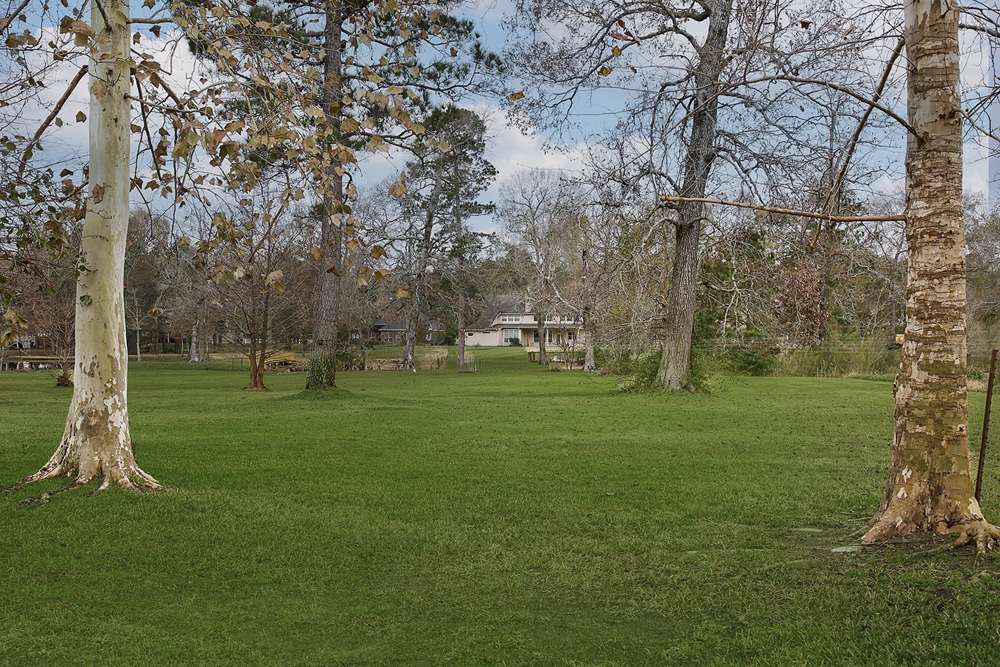11827 Water Oak Drive, Magnolia, TX 77354
