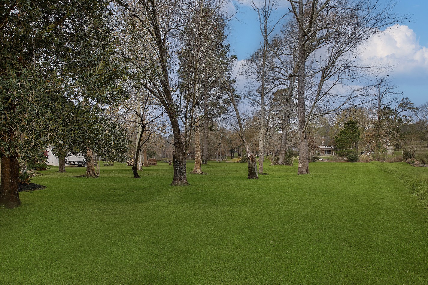 11827 Water Oak Drive, Magnolia, TX 77354