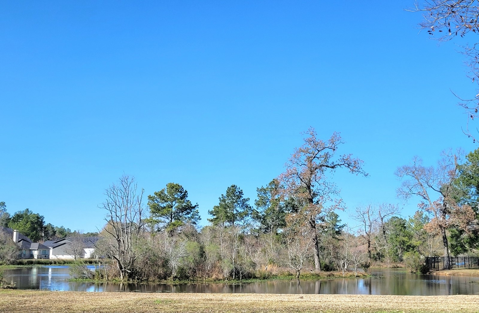 11827 Water Oak Drive, Magnolia, TX 77354