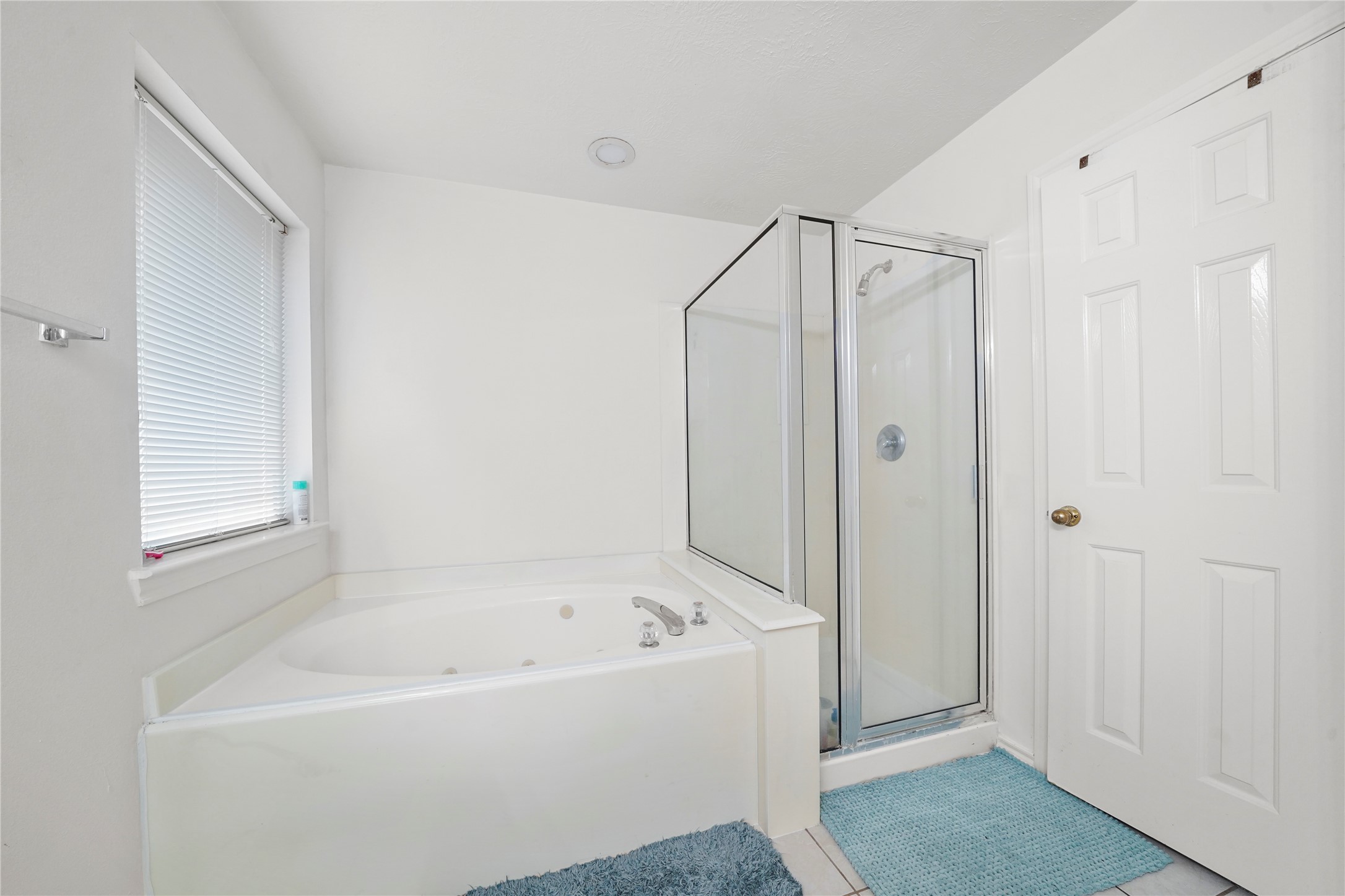 Unwind in the primary bath, where a soaking tub and separate glass shower create a calm, spa-like escape at the end of the day.