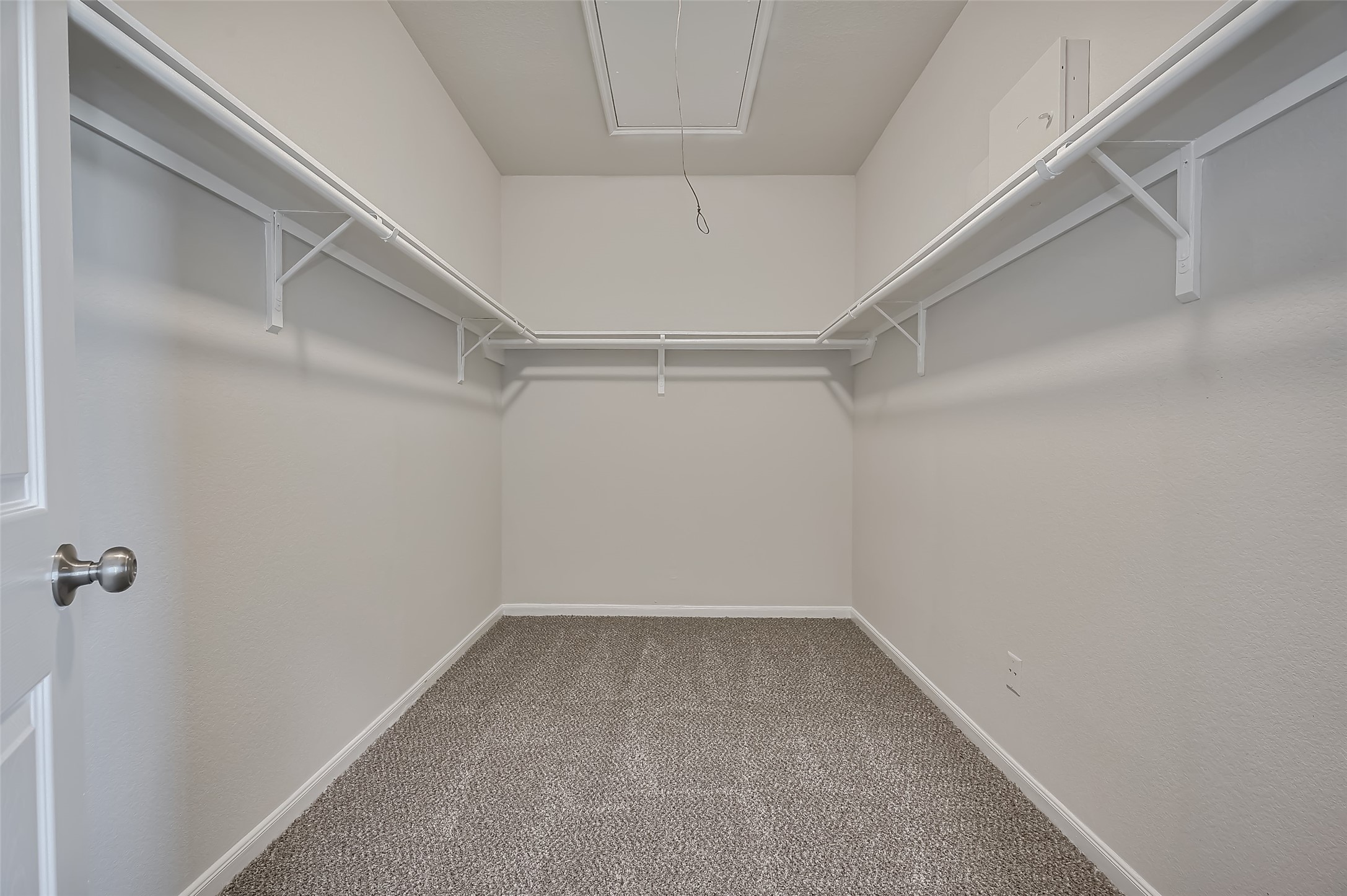 Primary bedroom features a walk-in closet with carpeted flooring.