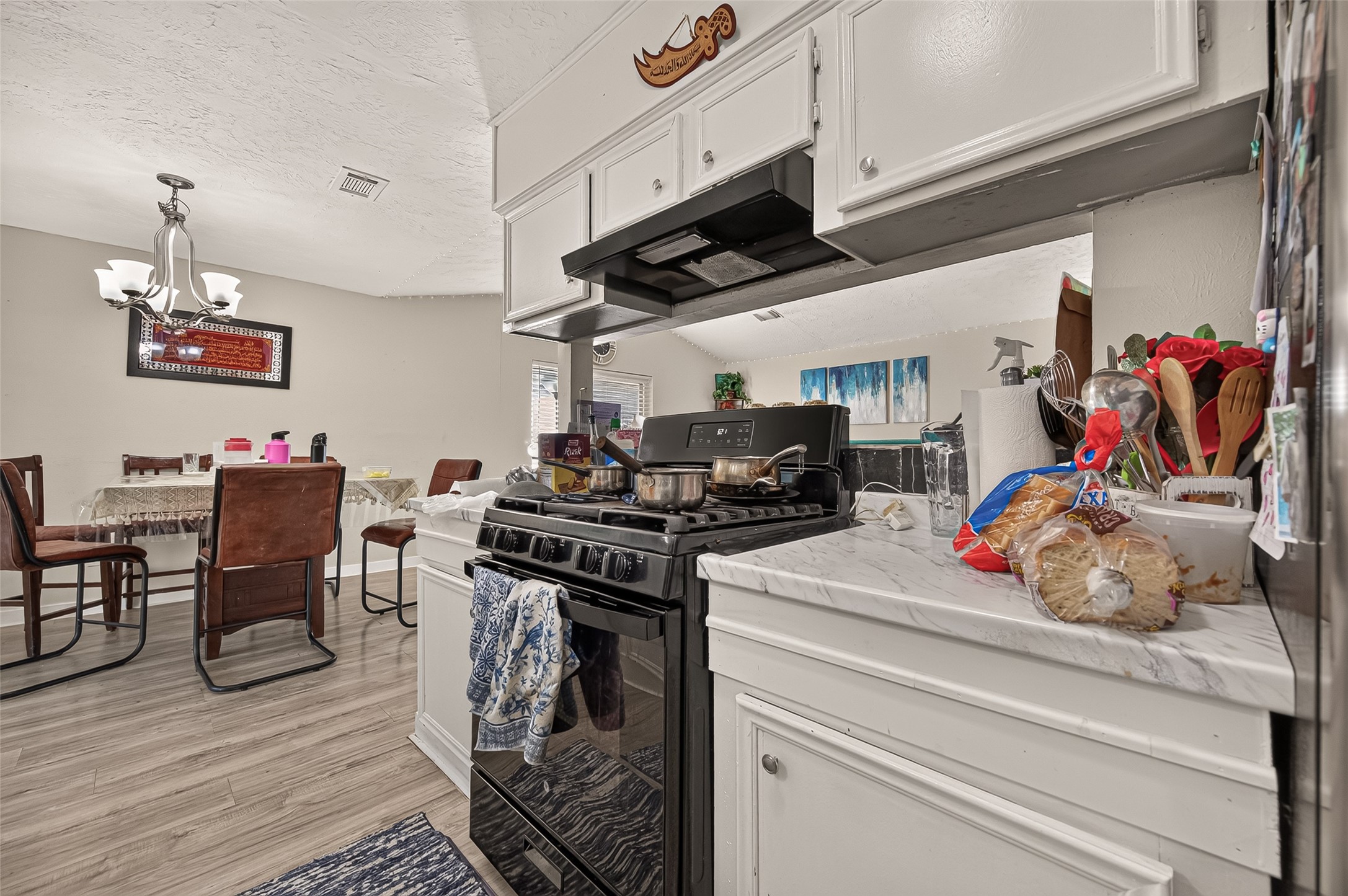 4123 Cedar Gardens Drive, Houston, TX 77082