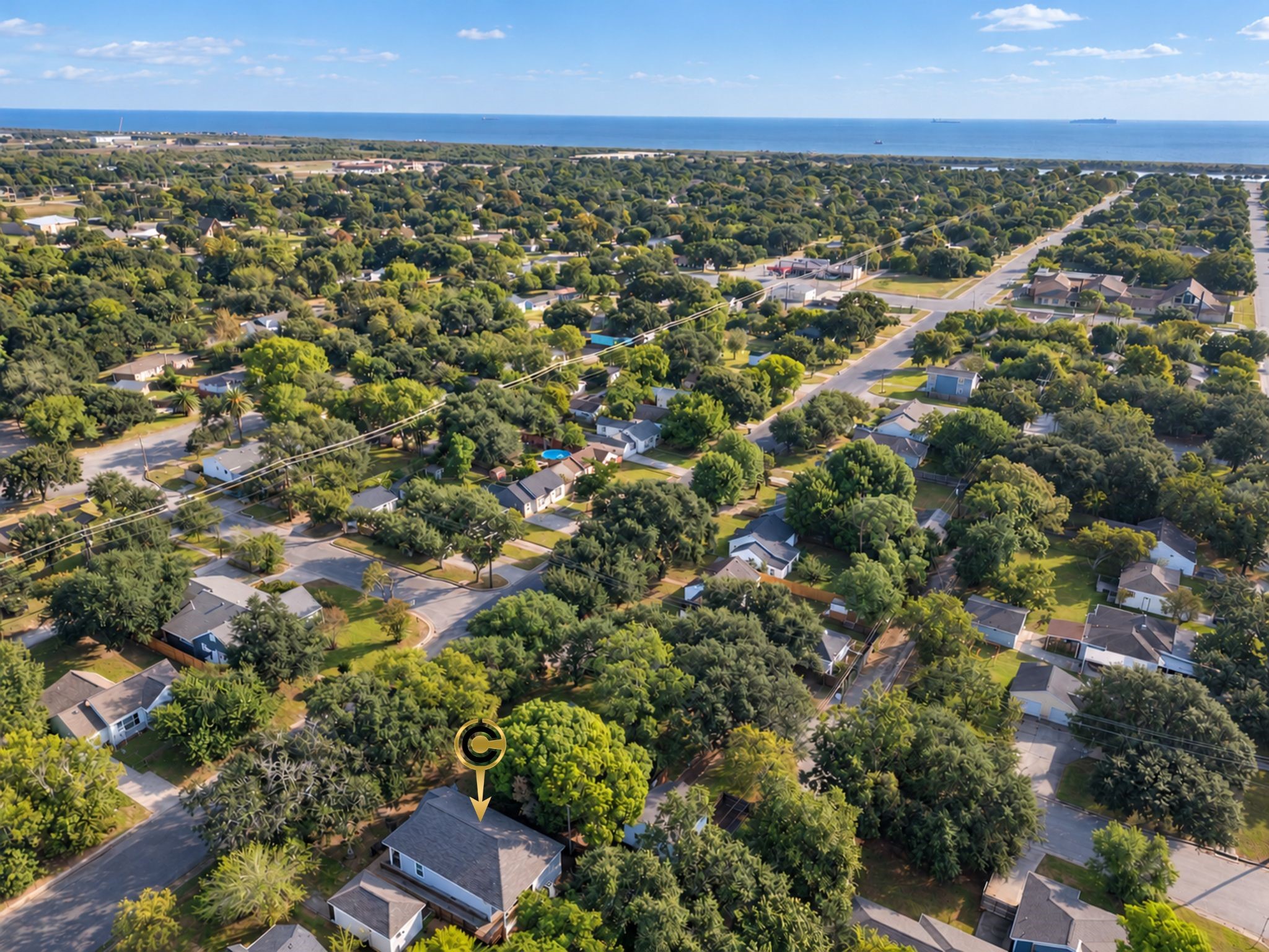 Experience the surrounding Galveston neighborhood from above! The mature tree canopy and established residential setting add to the property's appeal for buyers looking for a home with character and a sense of place.
