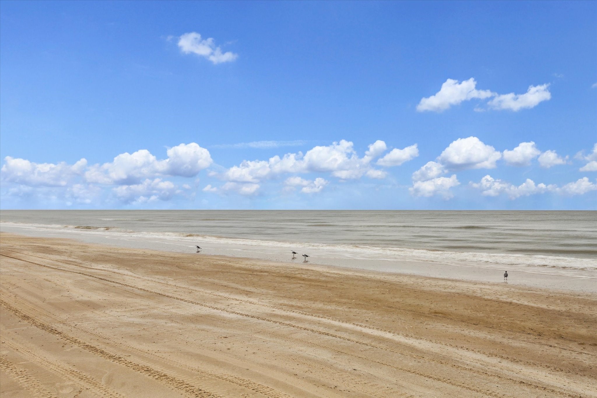 Beautiful views of the gulf.