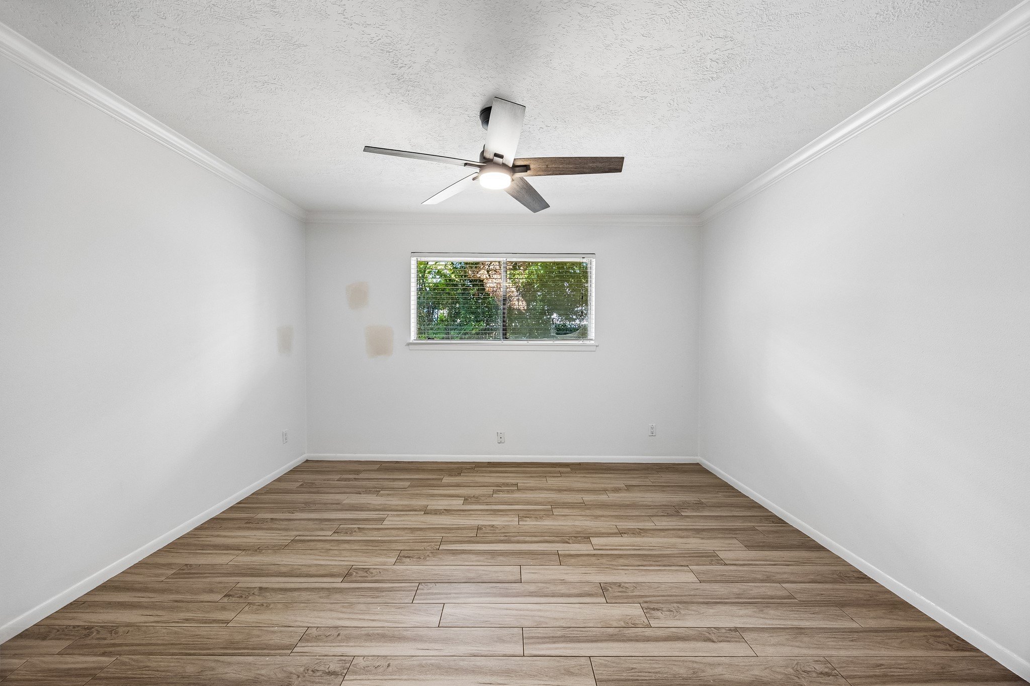 4406 Goldfinch Street, Houston, TX 77035