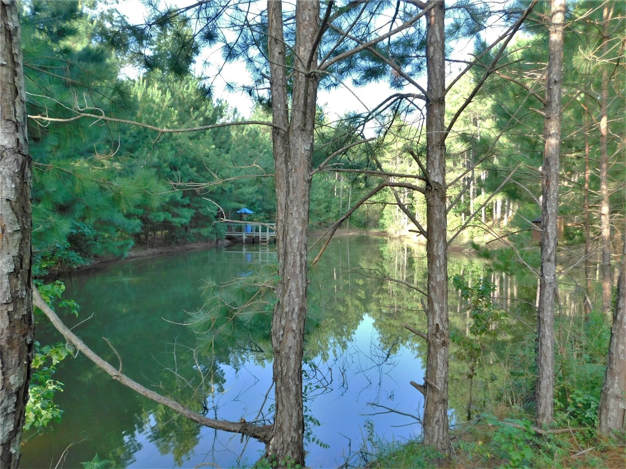 11914 Browder Traylor Road, Conroe, TX 77303