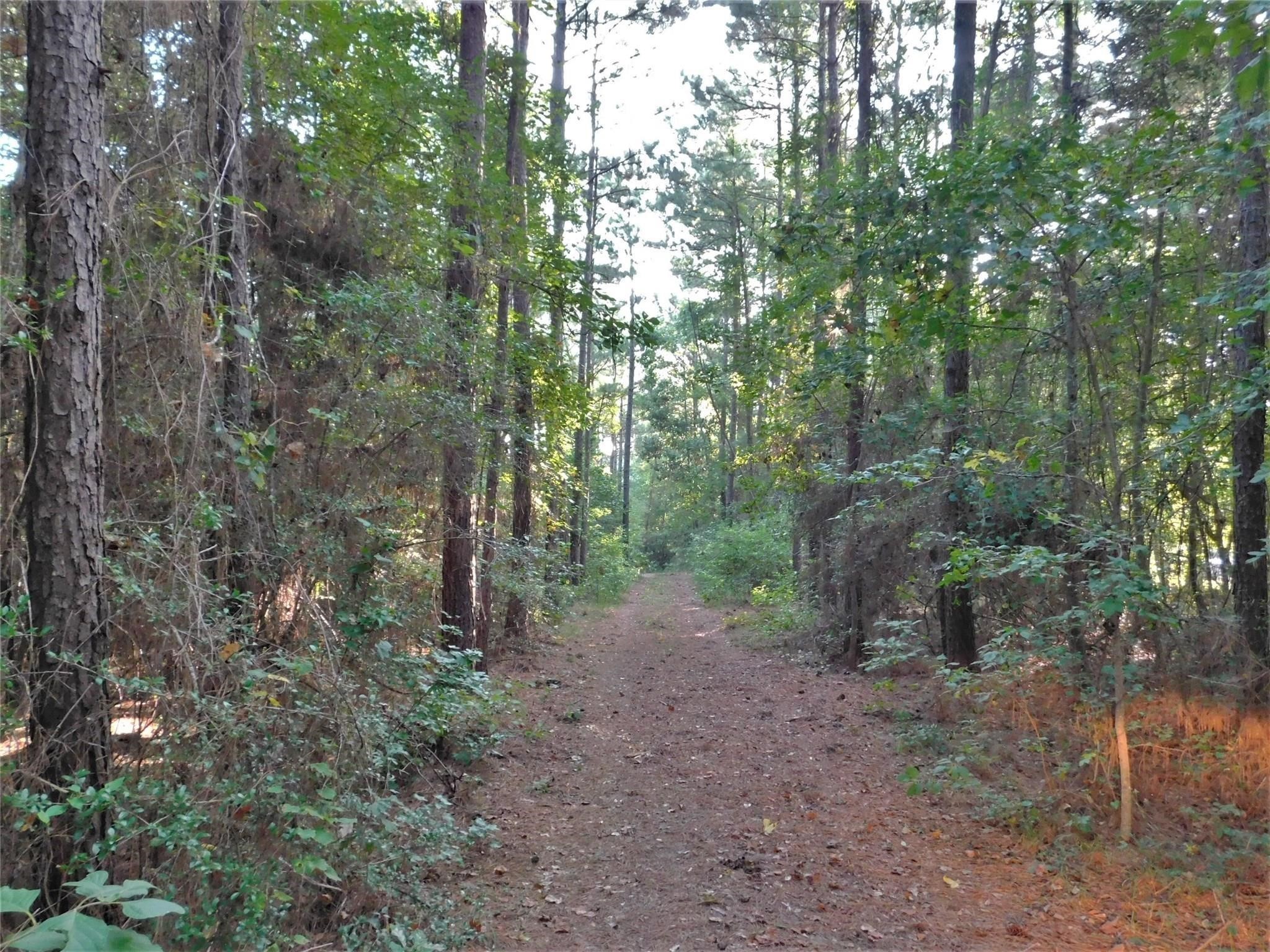 11914 Browder Traylor Road, Conroe, TX 77303