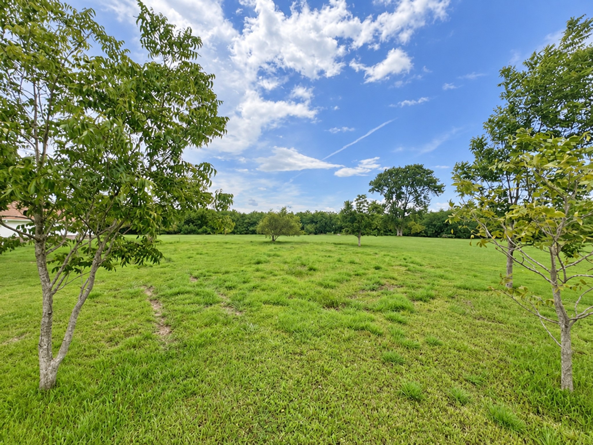 TBD Virginia Avenue, League City, TX 77573