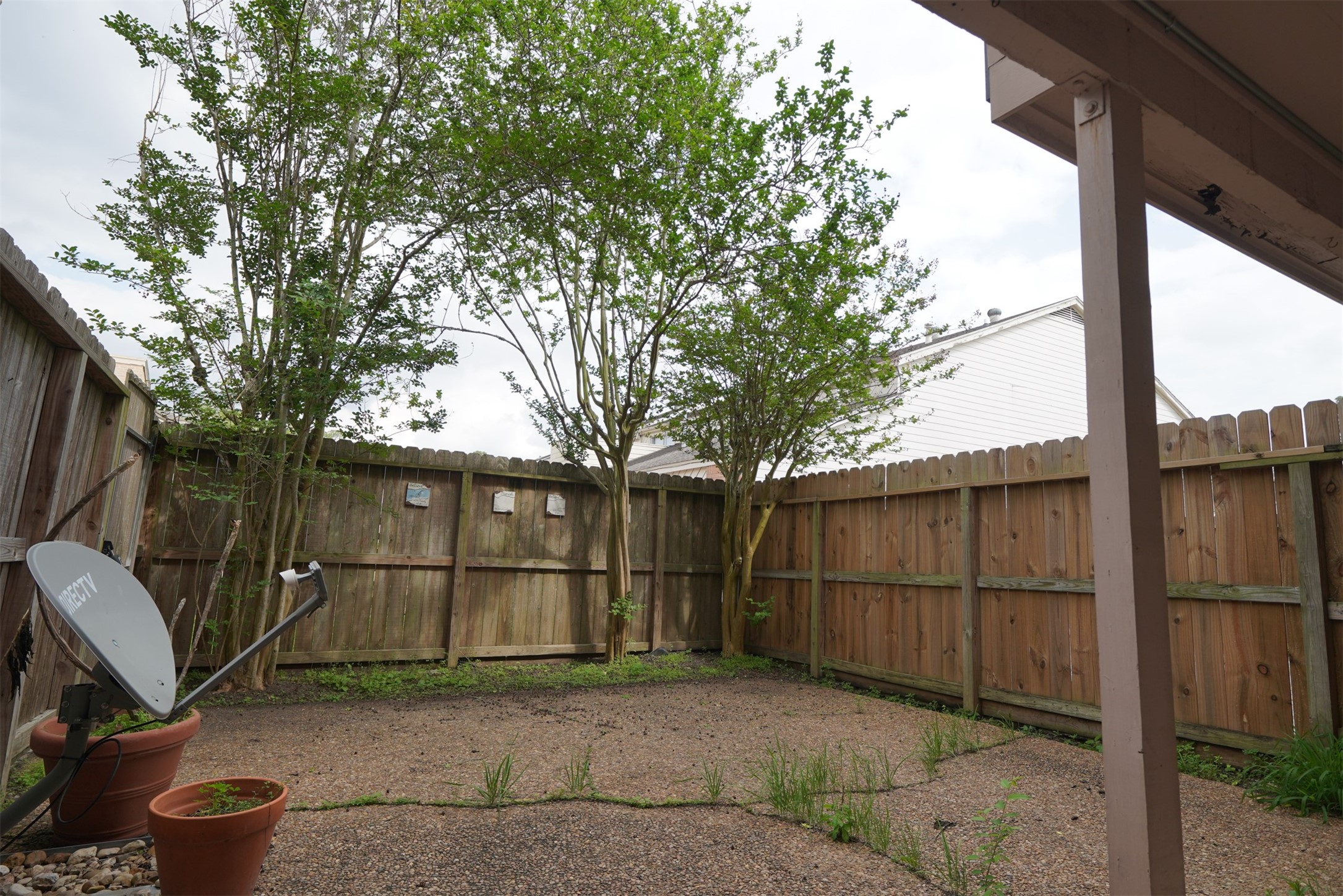 Large background space with crepe myrtles
