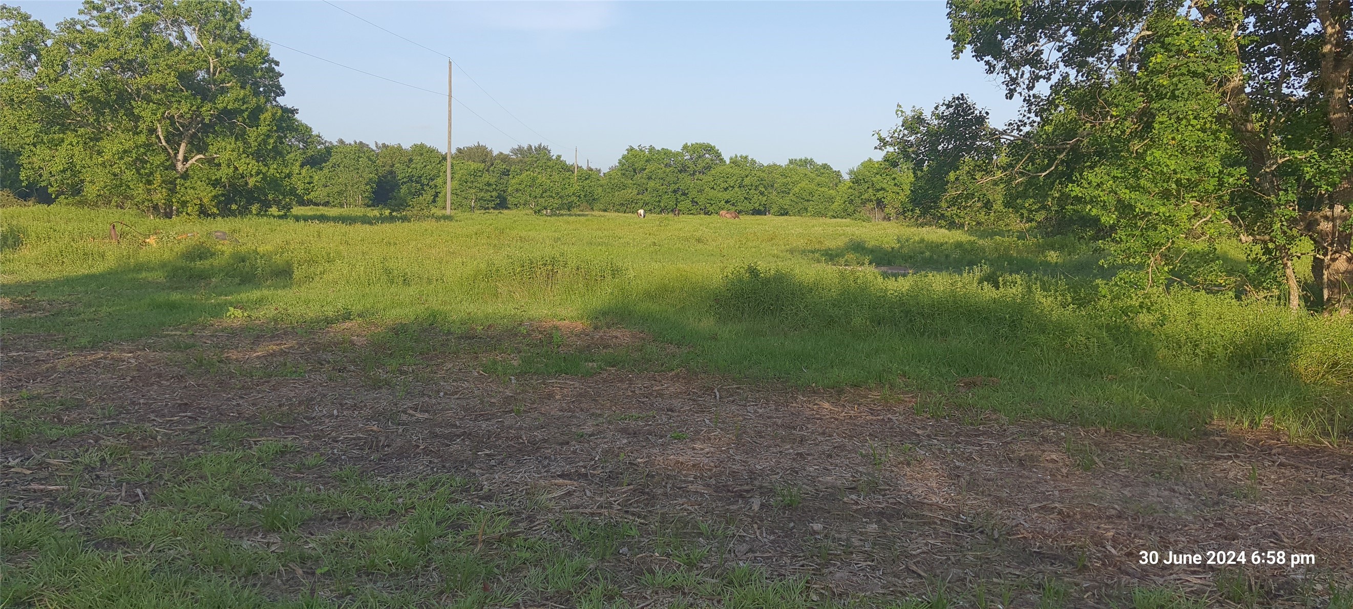 28828 Fm 1462 Road, Damon, TX 77430