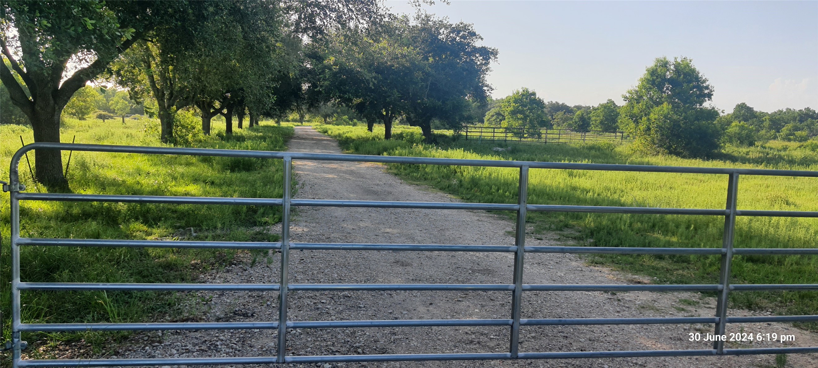28828 Fm 1462 Road, Damon, TX 77430